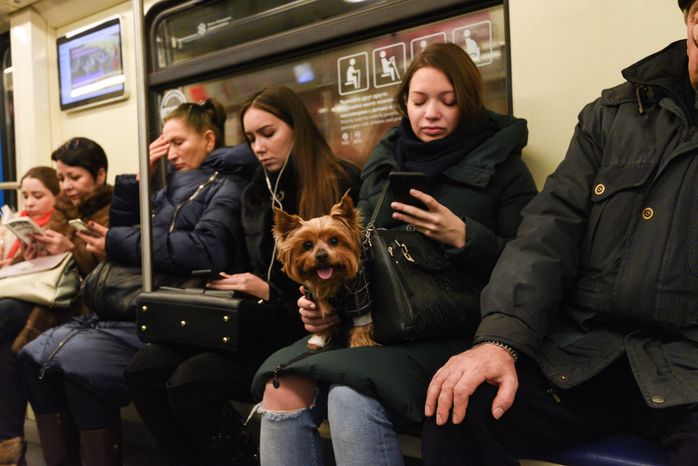 Повседневная жизнь в Москве