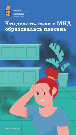 Плесень вертикаль 01