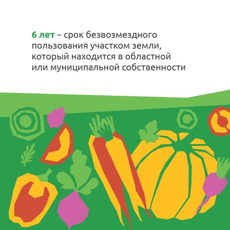  Подмосковные 10 гектаров