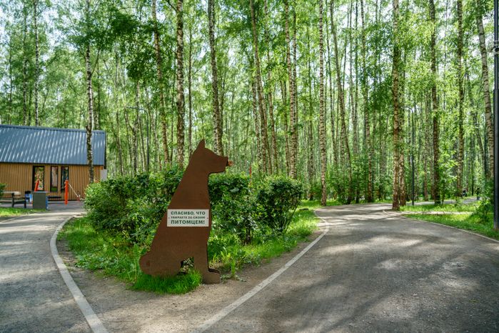 Парк "Городской лес" в Домодедово