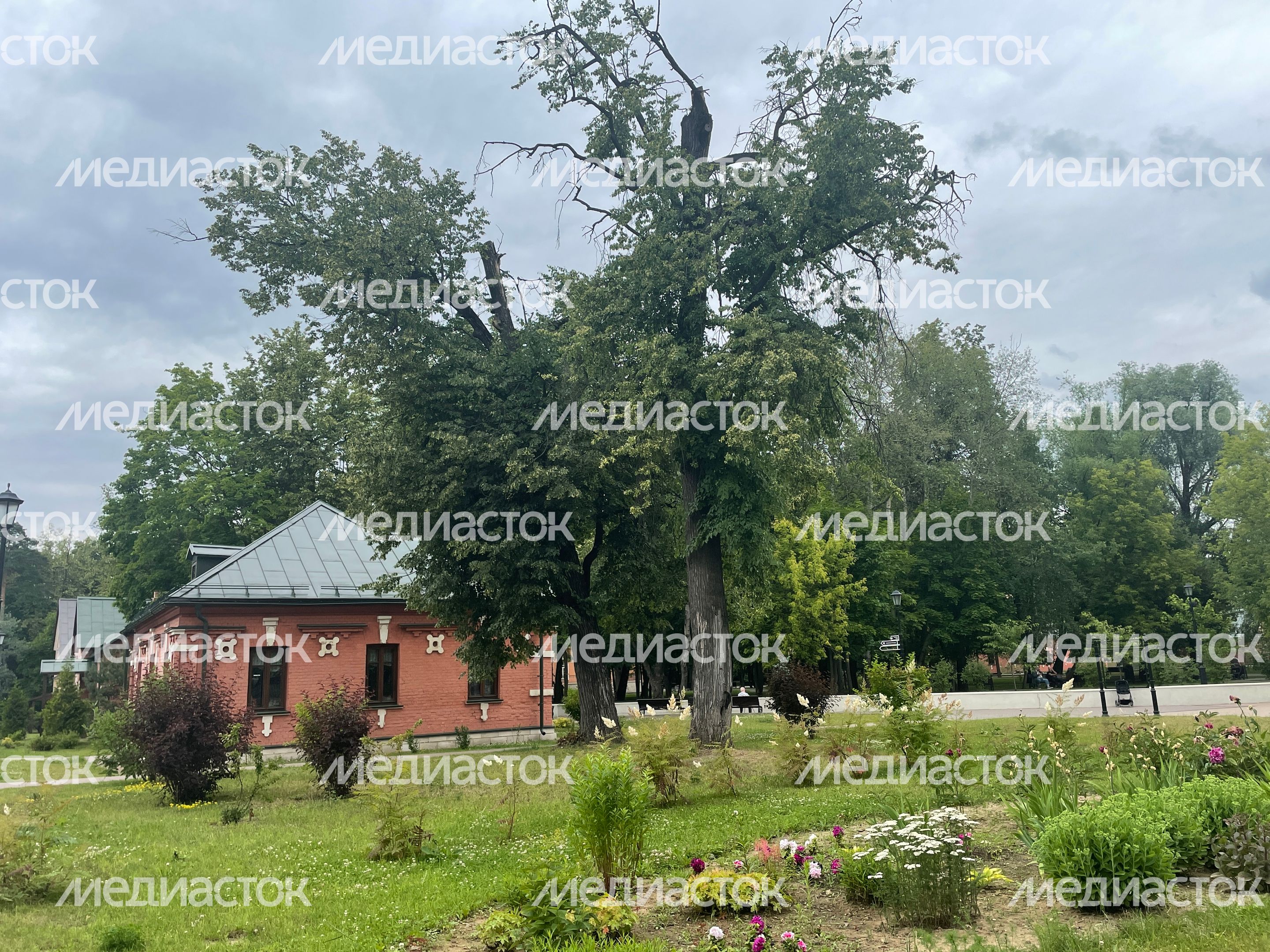 Усадьба Суханово Усадьба Суханово