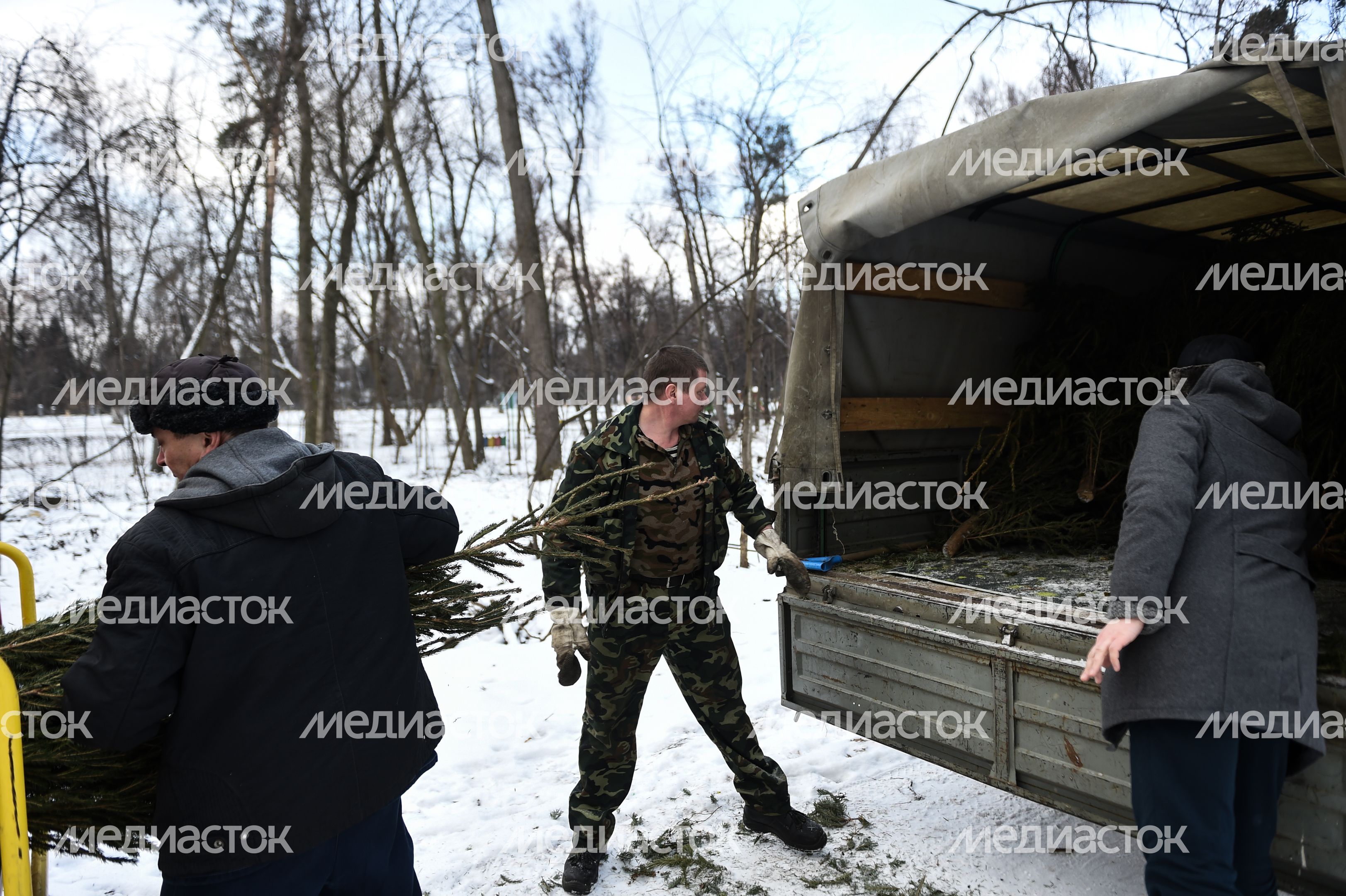 Утилизация елок после Нового года в Москве