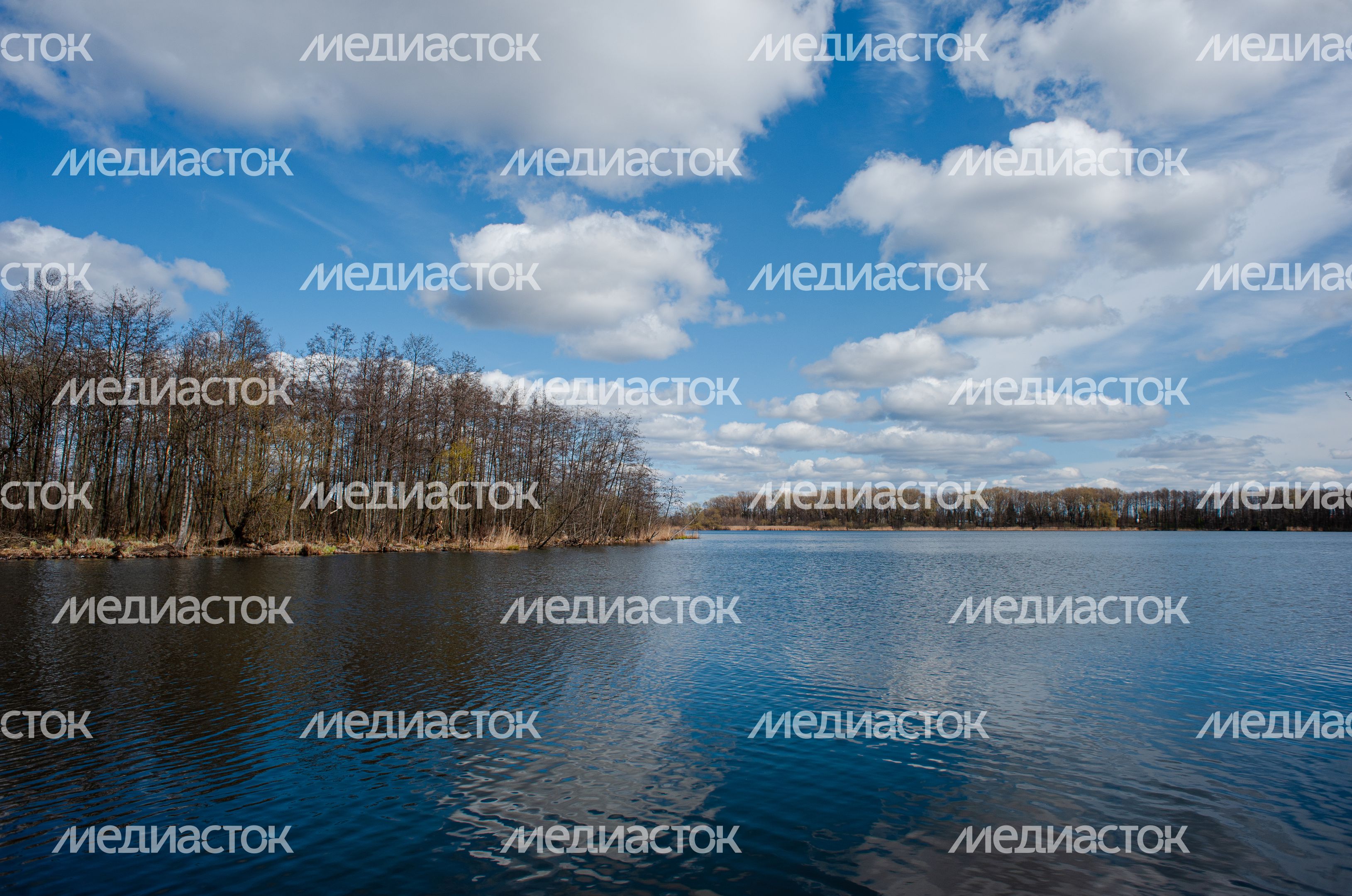 Виды города Шатура