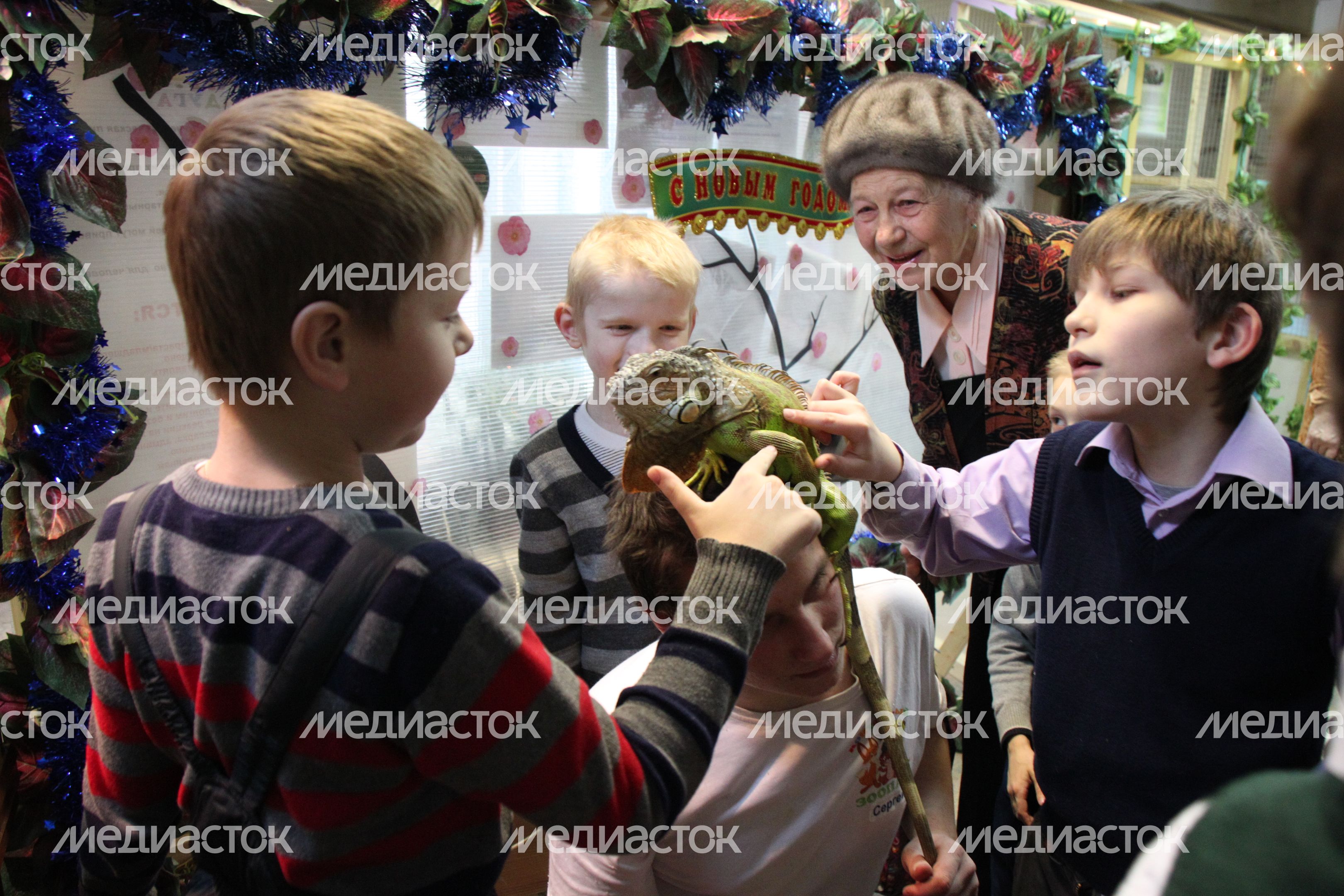 Контактный зоопарк в Одинцово Контактный зоопарк в Одинцово