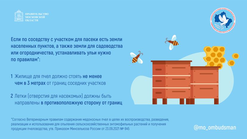 Горизонталь Вопрос-ответ. Пчеловодство-03.jpg
