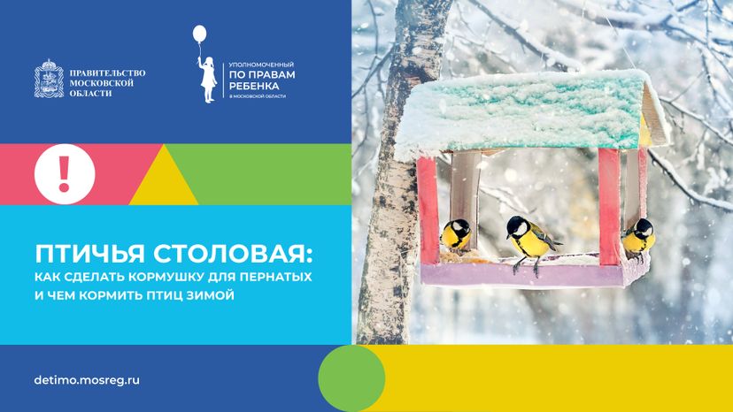 синичкин_день_горизонталь_01.jpg