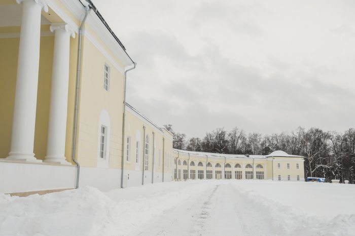 Балашиха. Усадьба Горенки. Зима