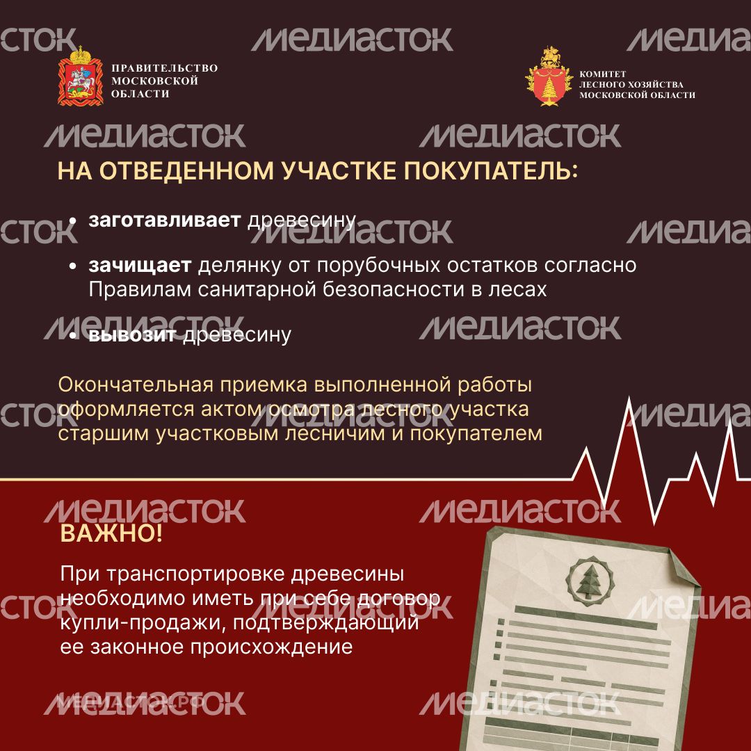 Как заготовить древесину квадрат 10