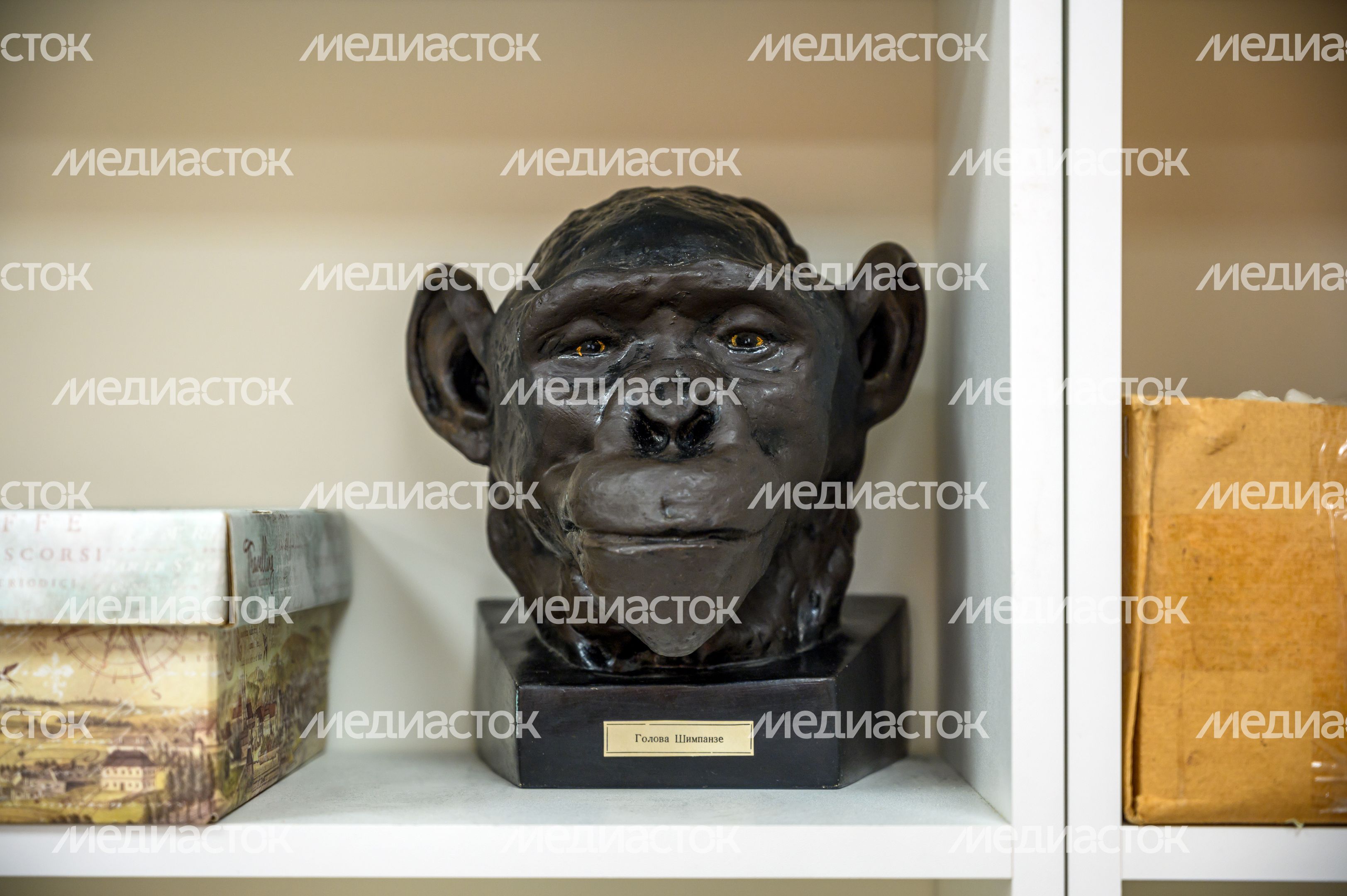 Кабинет биологии в образовательном комплексе №11 в микрорайоне Заветы Ильича Пушкинского округа после капремонта