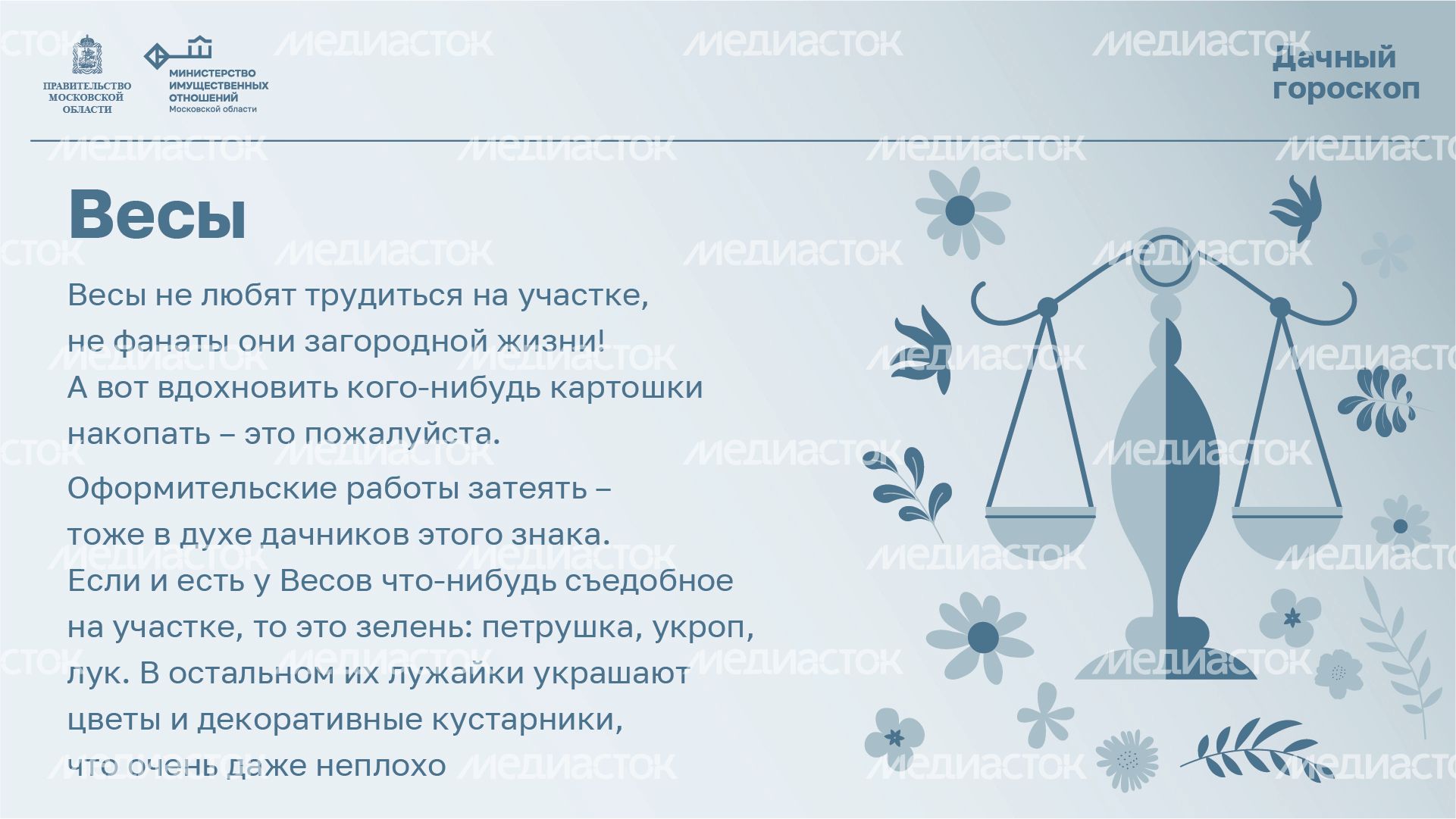 Горизонталь_Дачный_гороскоп_07-100.jpg