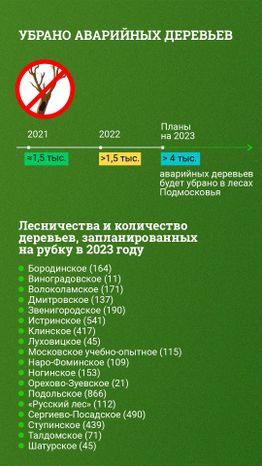Аварийные деревья
