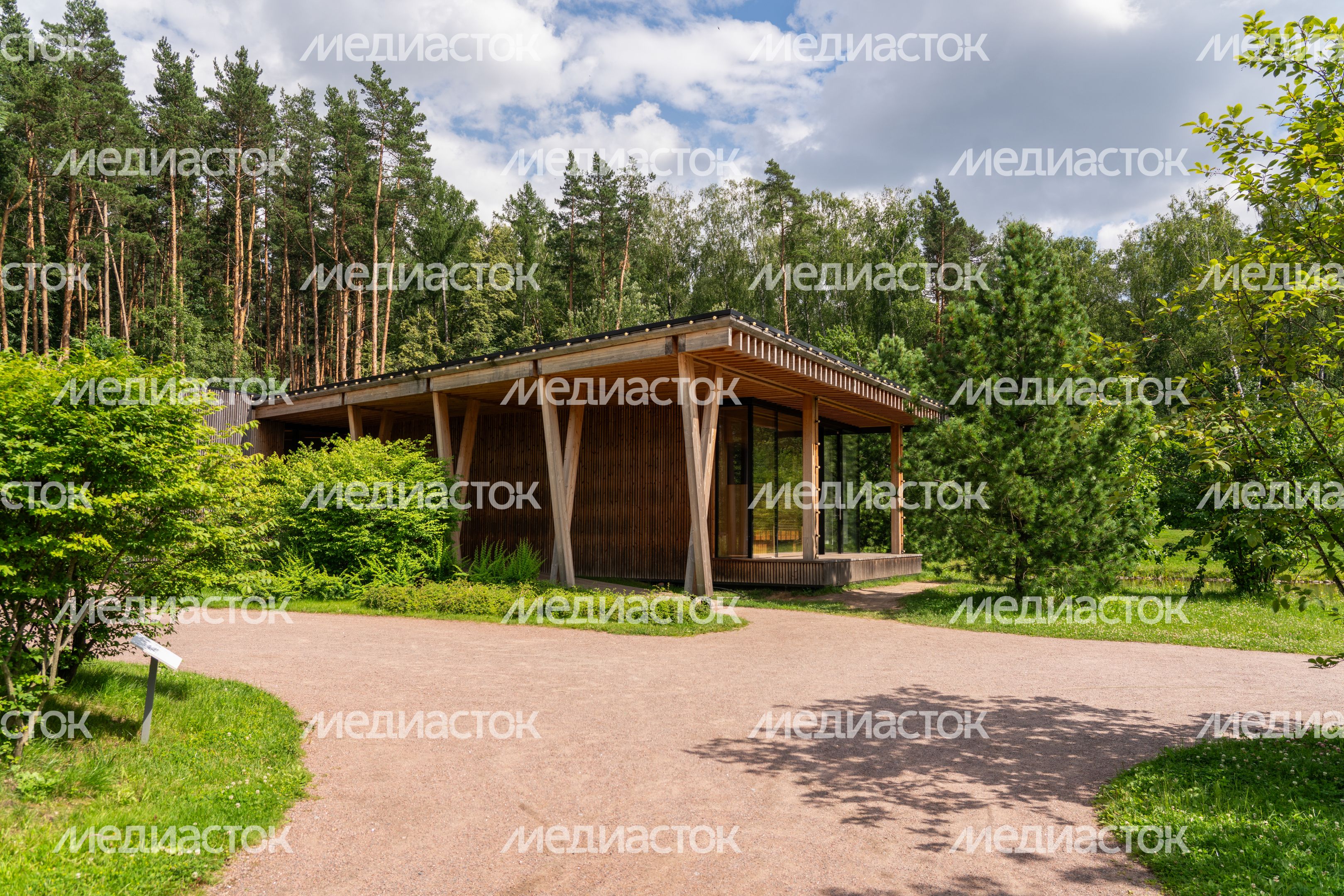 Мещерский парк летом