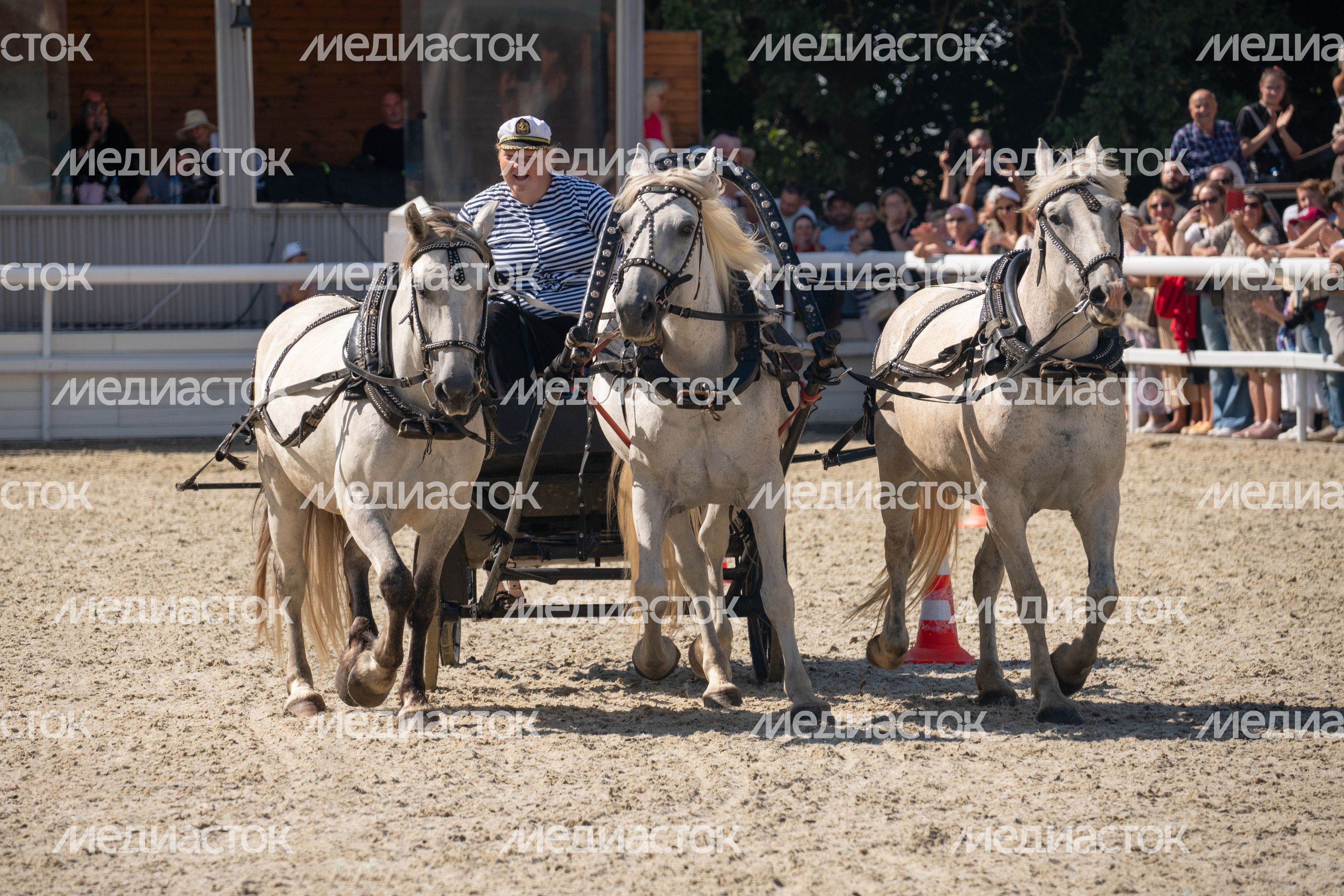 IV Чемпионат русских троек «Крылатое сердце России» в Одинцовском округе IV Чемпионат русских троек «Крылатое сердце России» в Одинцовском округе