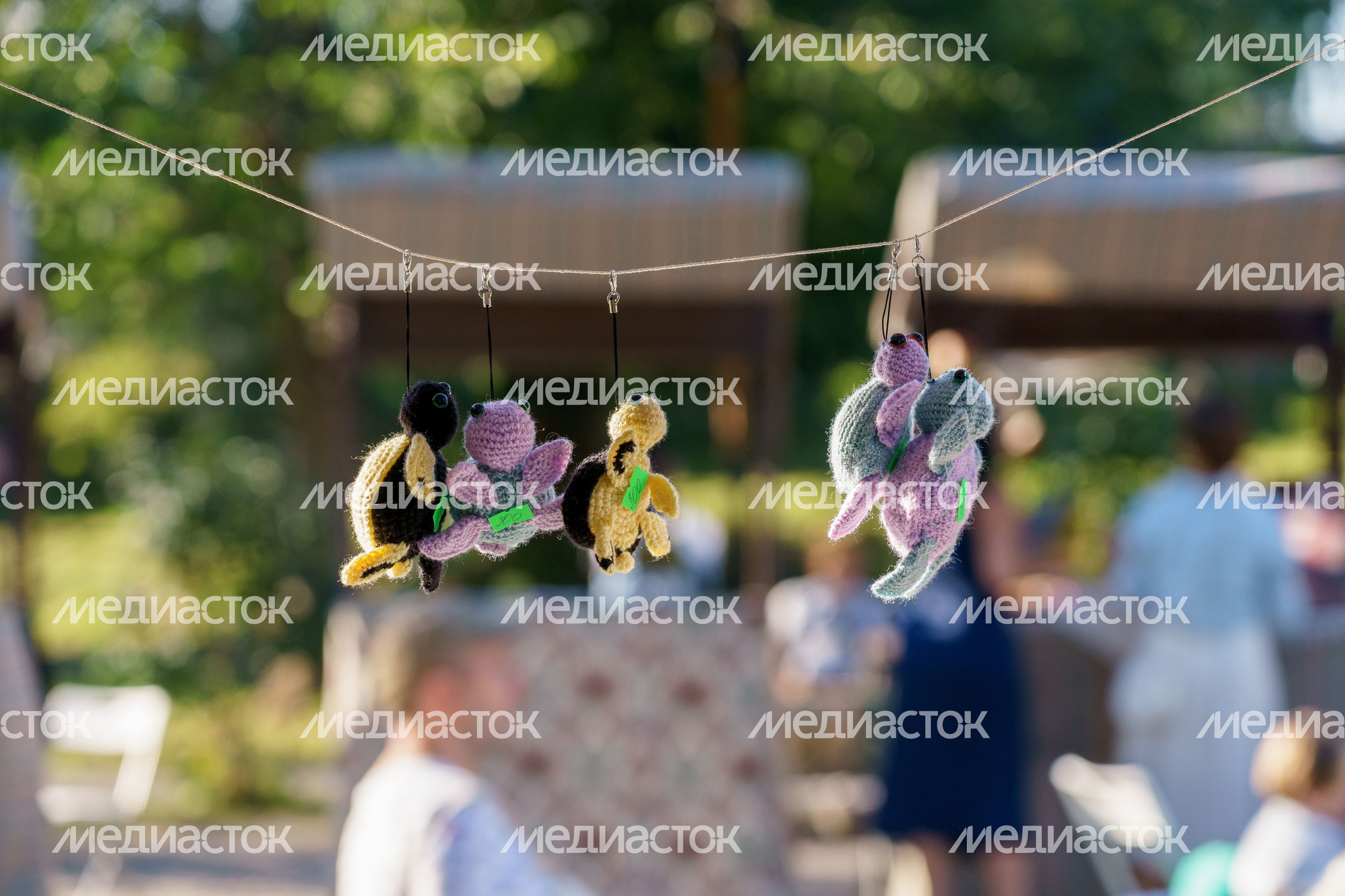 XII Международный яблочно-книжный фестиваль прошел  в Коломне