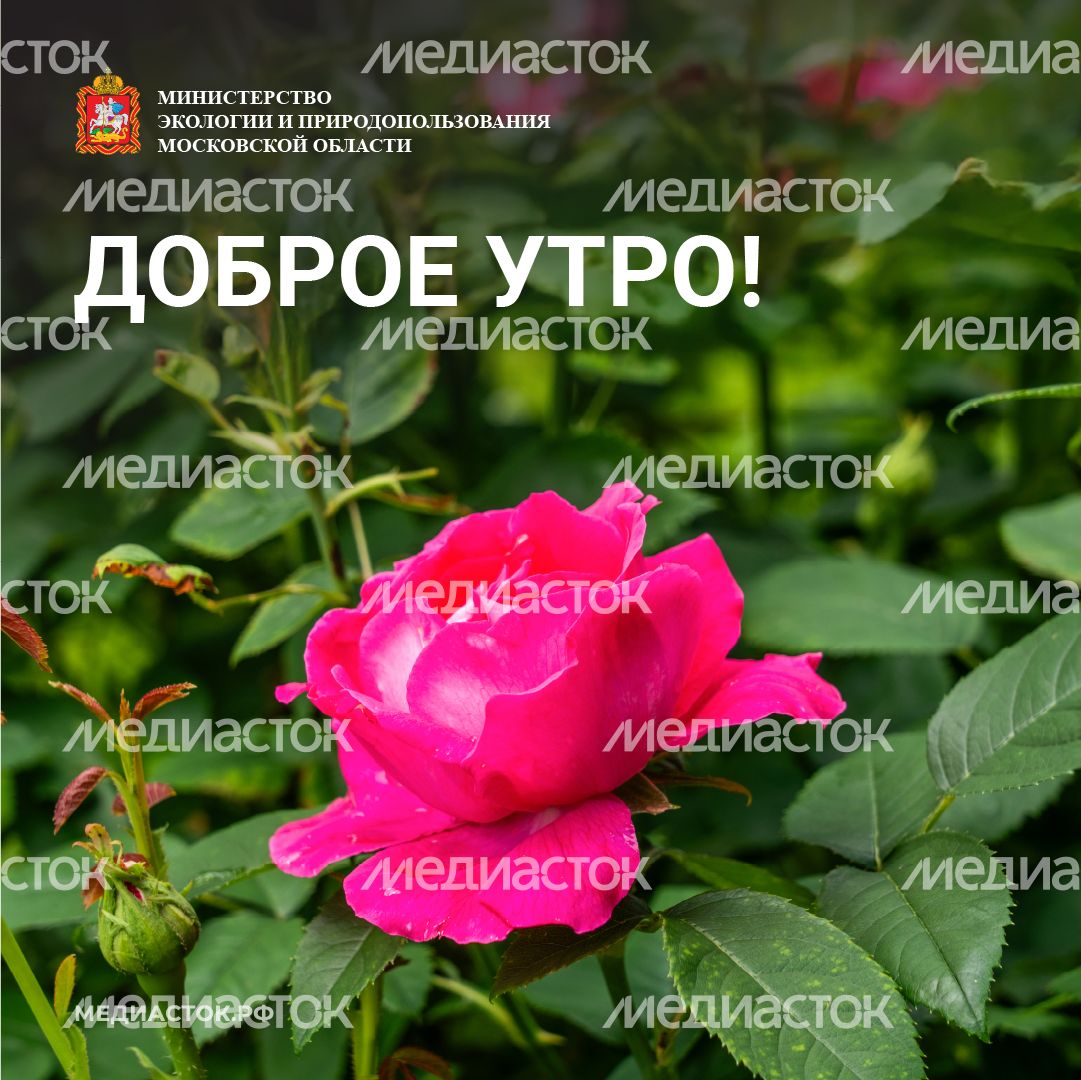 Доброе утро квадрат 03