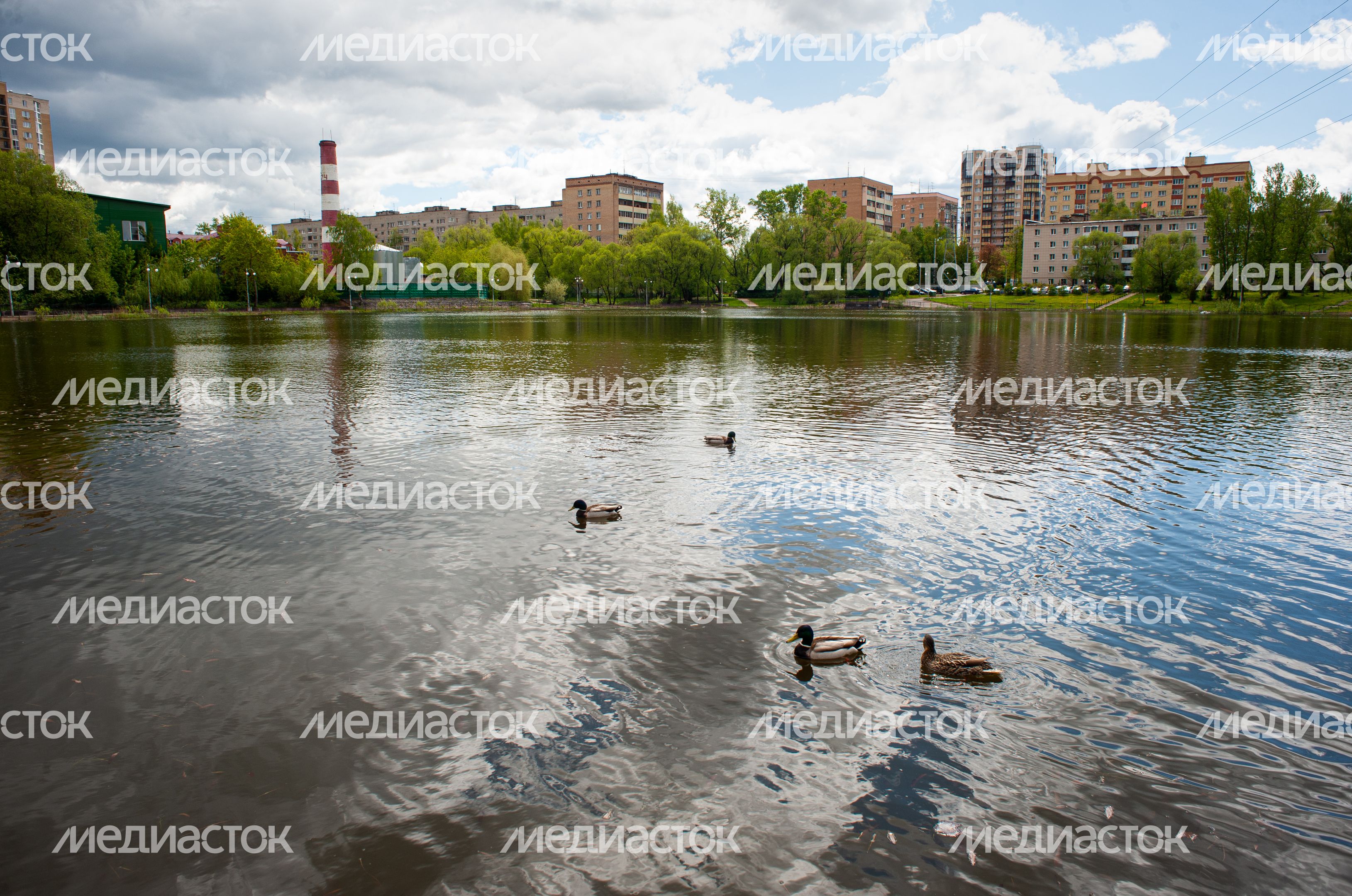 Весенние виды города Пушкино