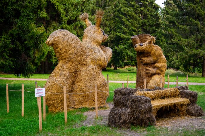 Гигантские соломенные белки в лесопарке «Загорское море» в Сергиевом Посаде