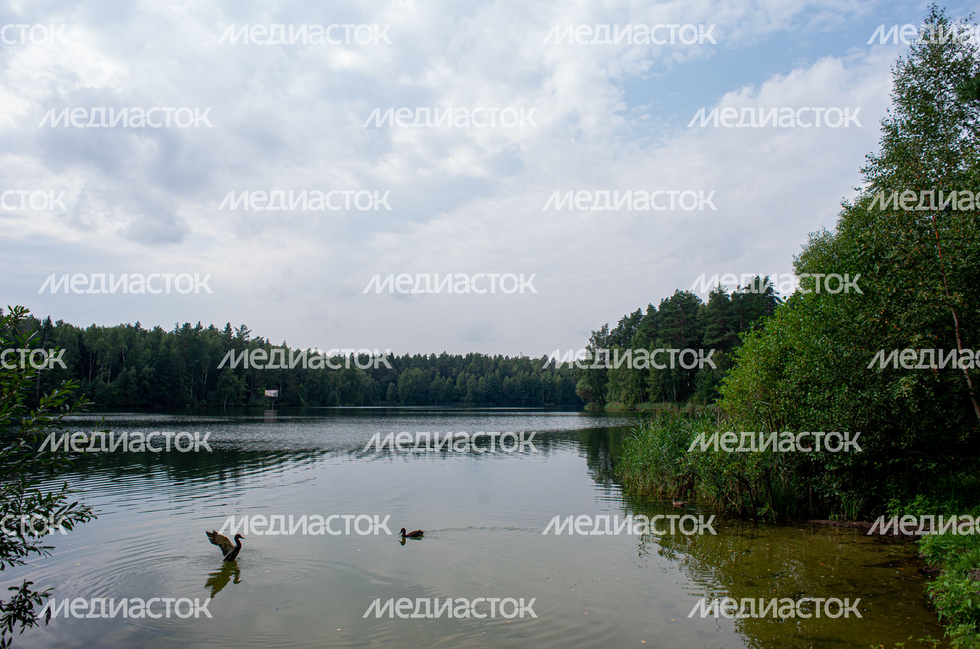 Летние виды города Черноголовка