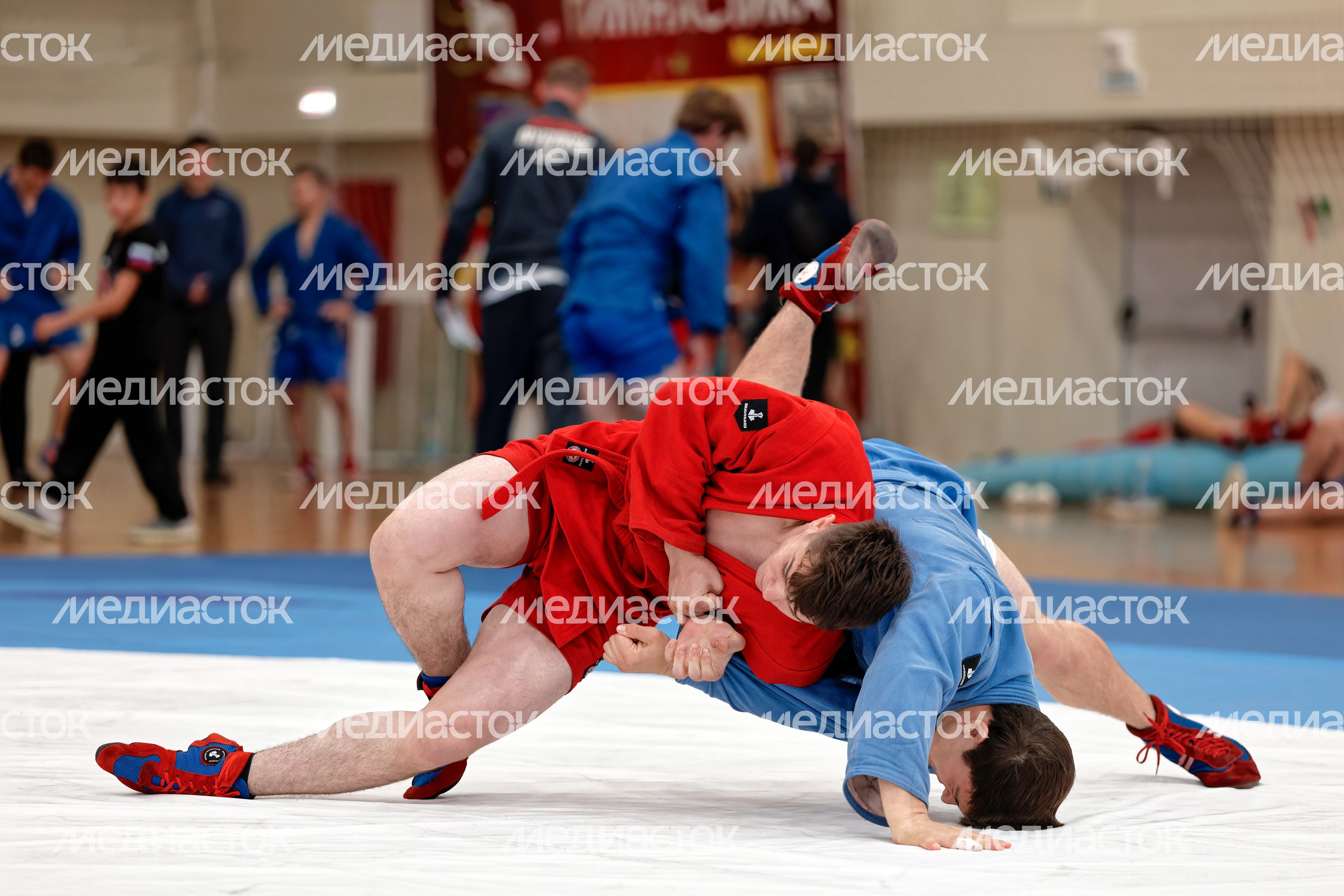 Всероссийские соревнования по боевому самбо «Бородино» в ФОКе «Арсенал» Можайска Всероссийские соревнования по боевому самбо «Бородино» в ФОКе «Арсенал» Можайска