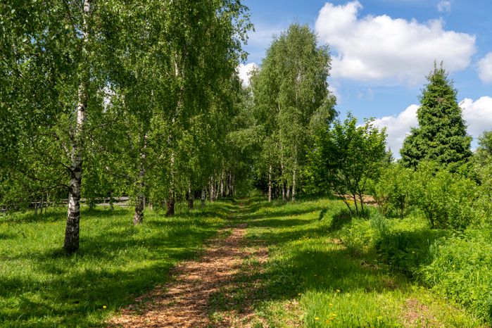 Музей-заповедник Д.И. Менделеева и А.А. Блока. Усадьба Шахматово