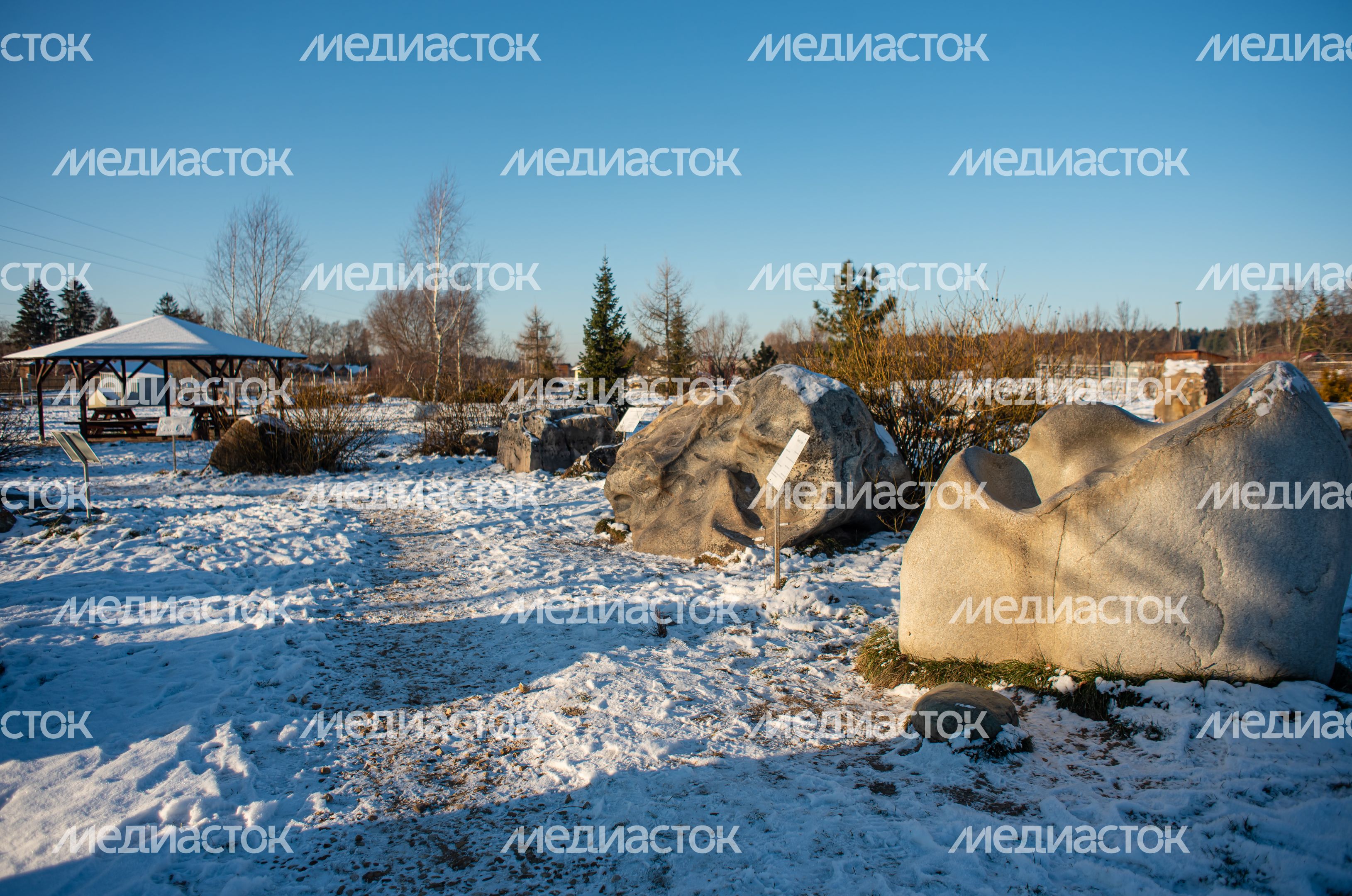 Зимний Парк Птиц «Воробьи»