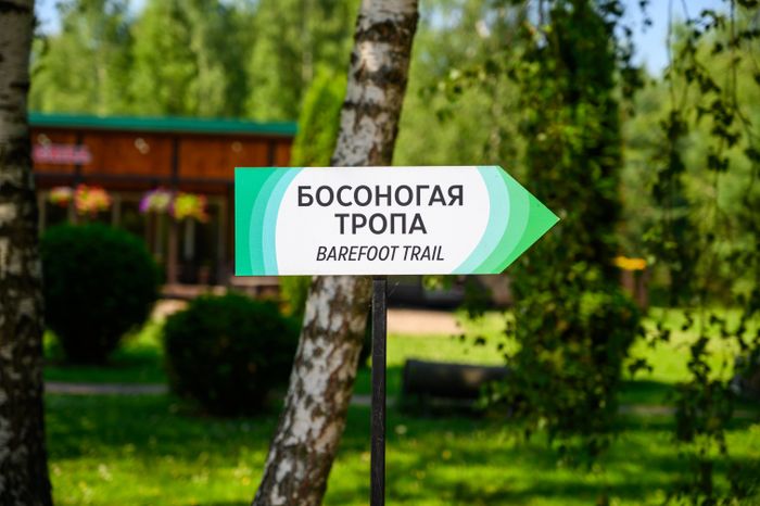 Эколого-просветительский комплекс "Дендрарий" в Мытищах