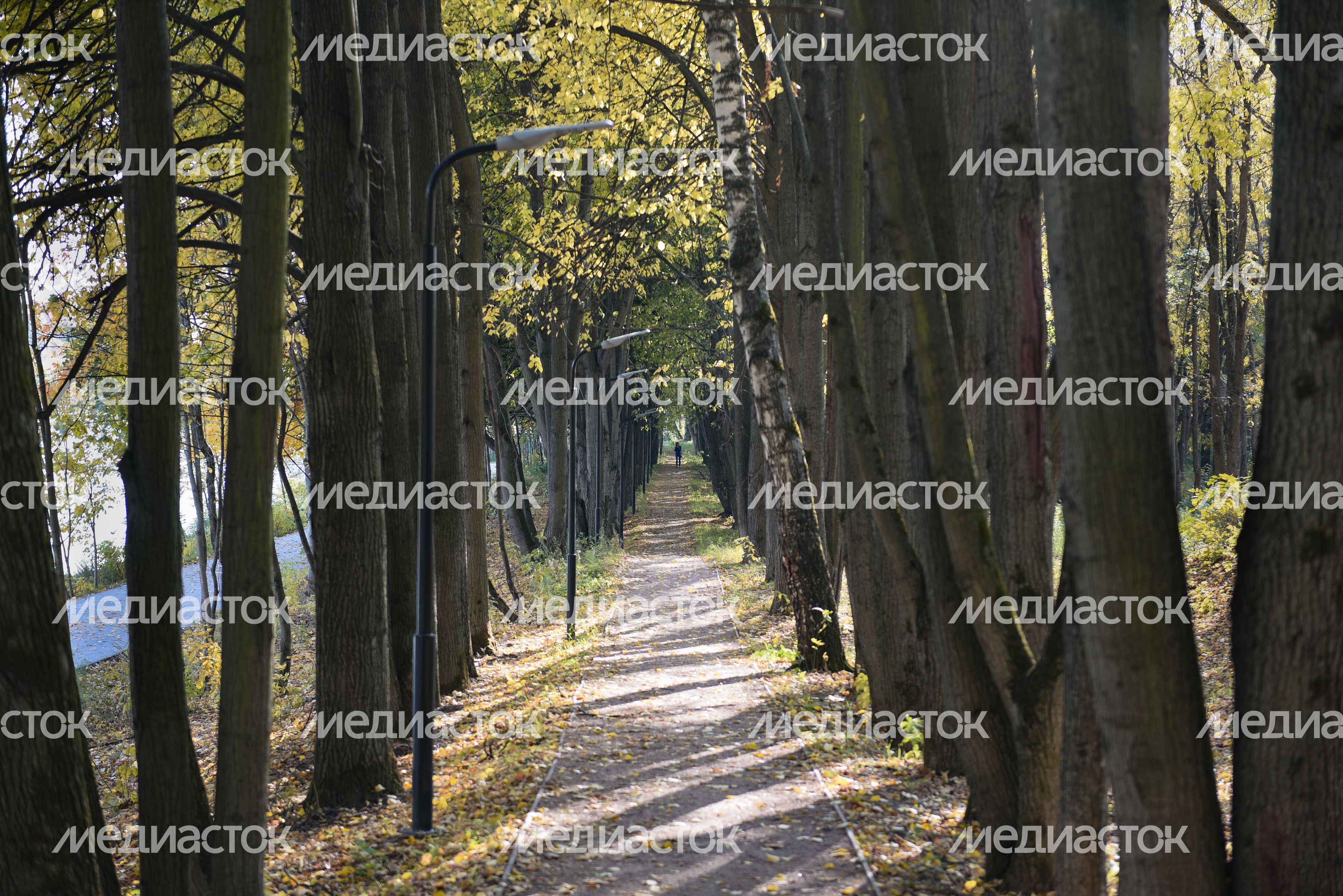 Золотая осень в Химках