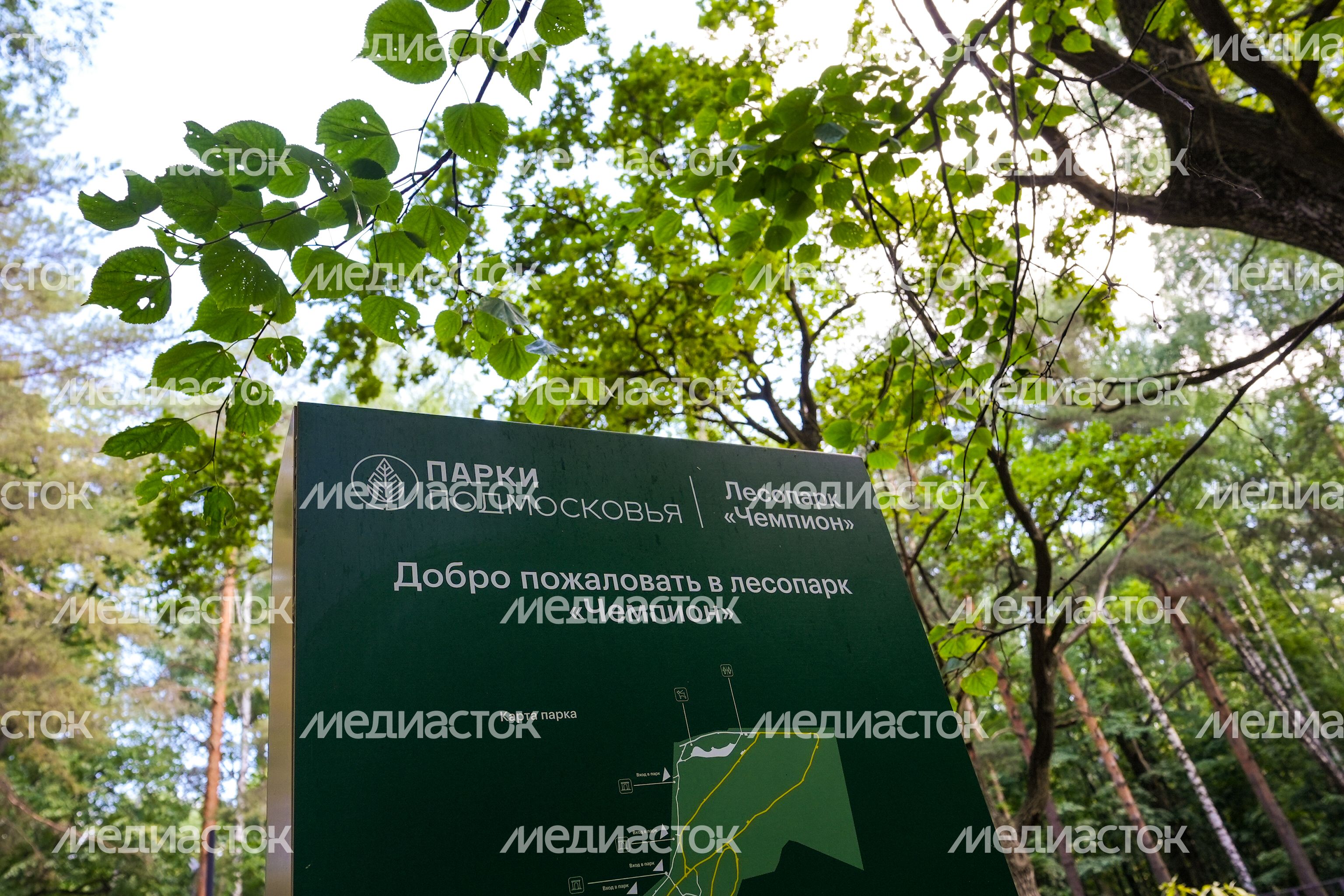 Лесопарк "Чемпион" в Дзержинском