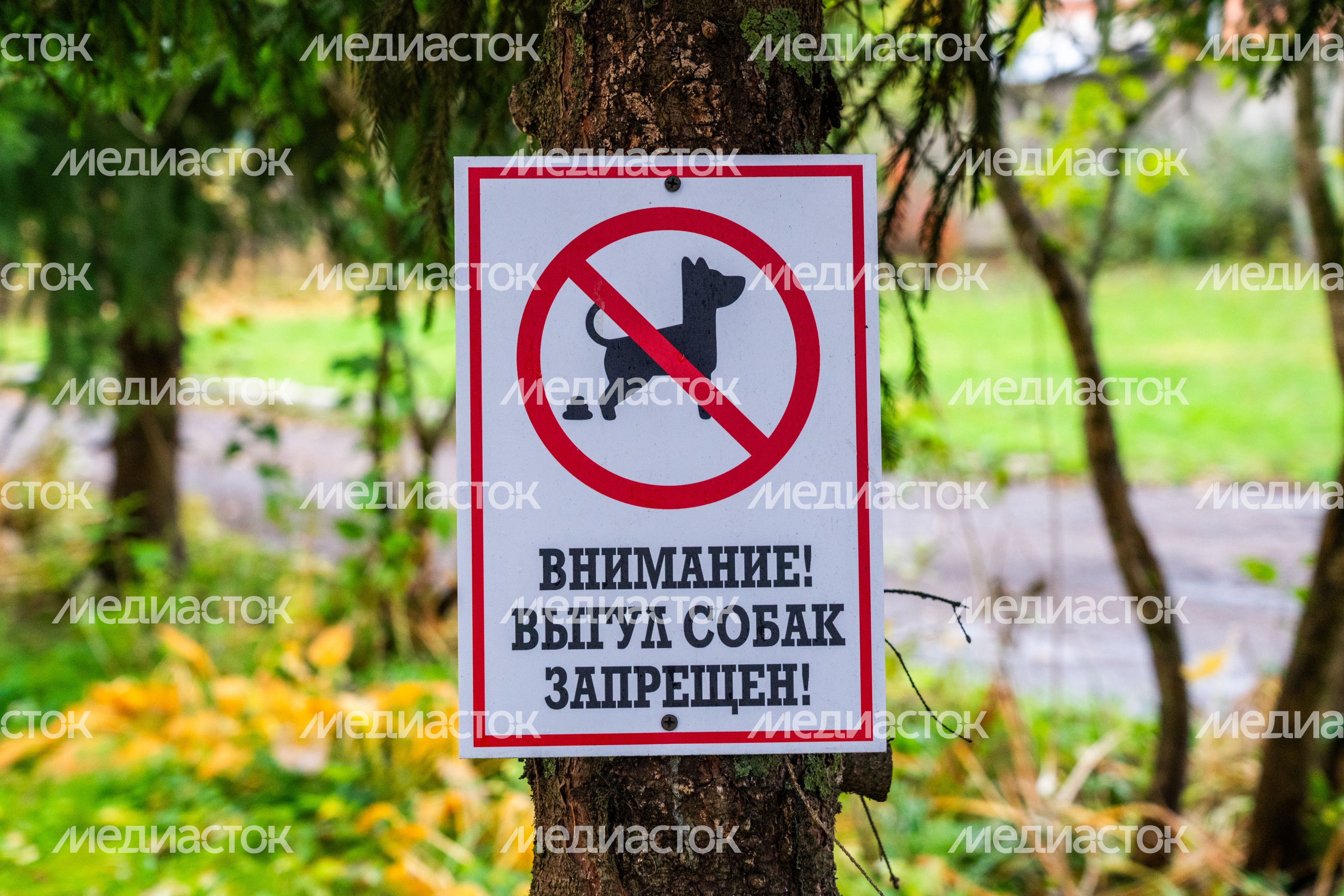Табличка в парке «Выгул собак запрещен» Табличка в парке «Выгул собак запрещен»