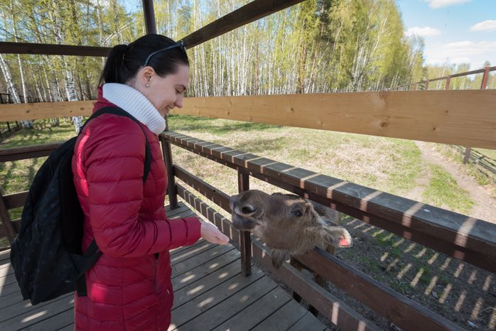 Национальный парк Лосиный остров