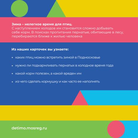 синичкин_день_квадрат_02.jpg