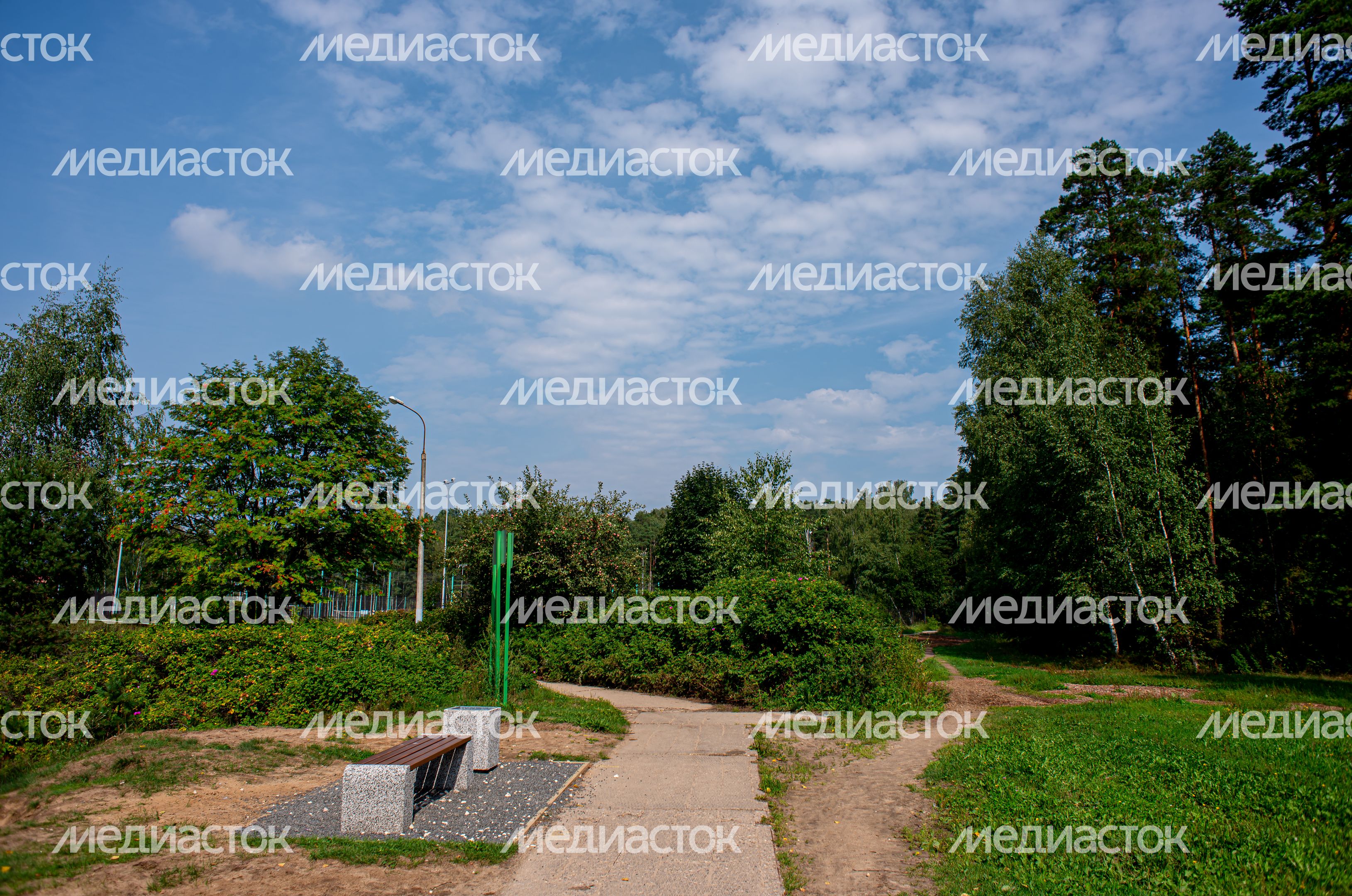 Летние виды города Черноголовка