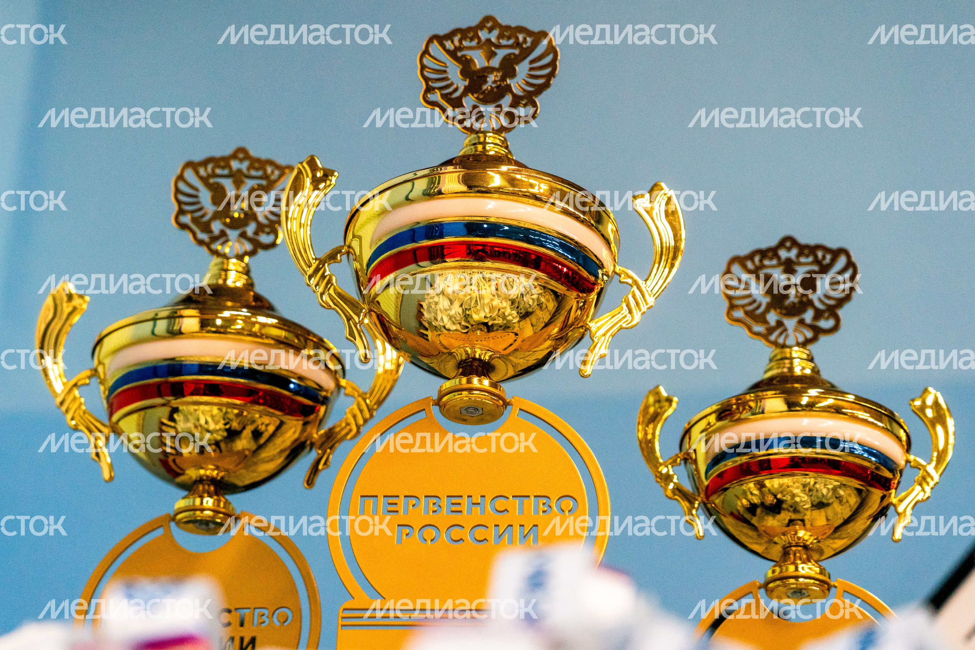 Первенство России по кикбоксингу в Наро-Фоминске Первенство России по кикбоксингу в Наро-Фоминске