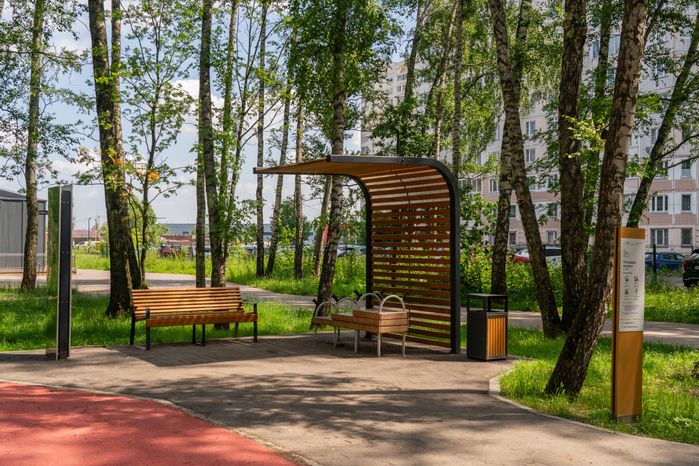 Губернский лесопарк в Чехове летом