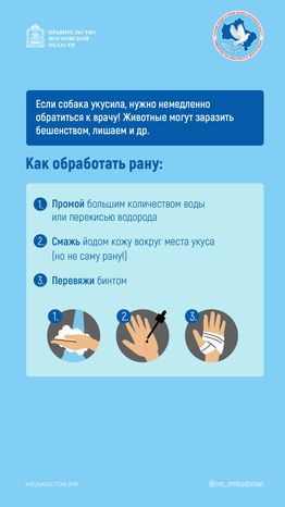 Осторожно злая собака вертикаль 08