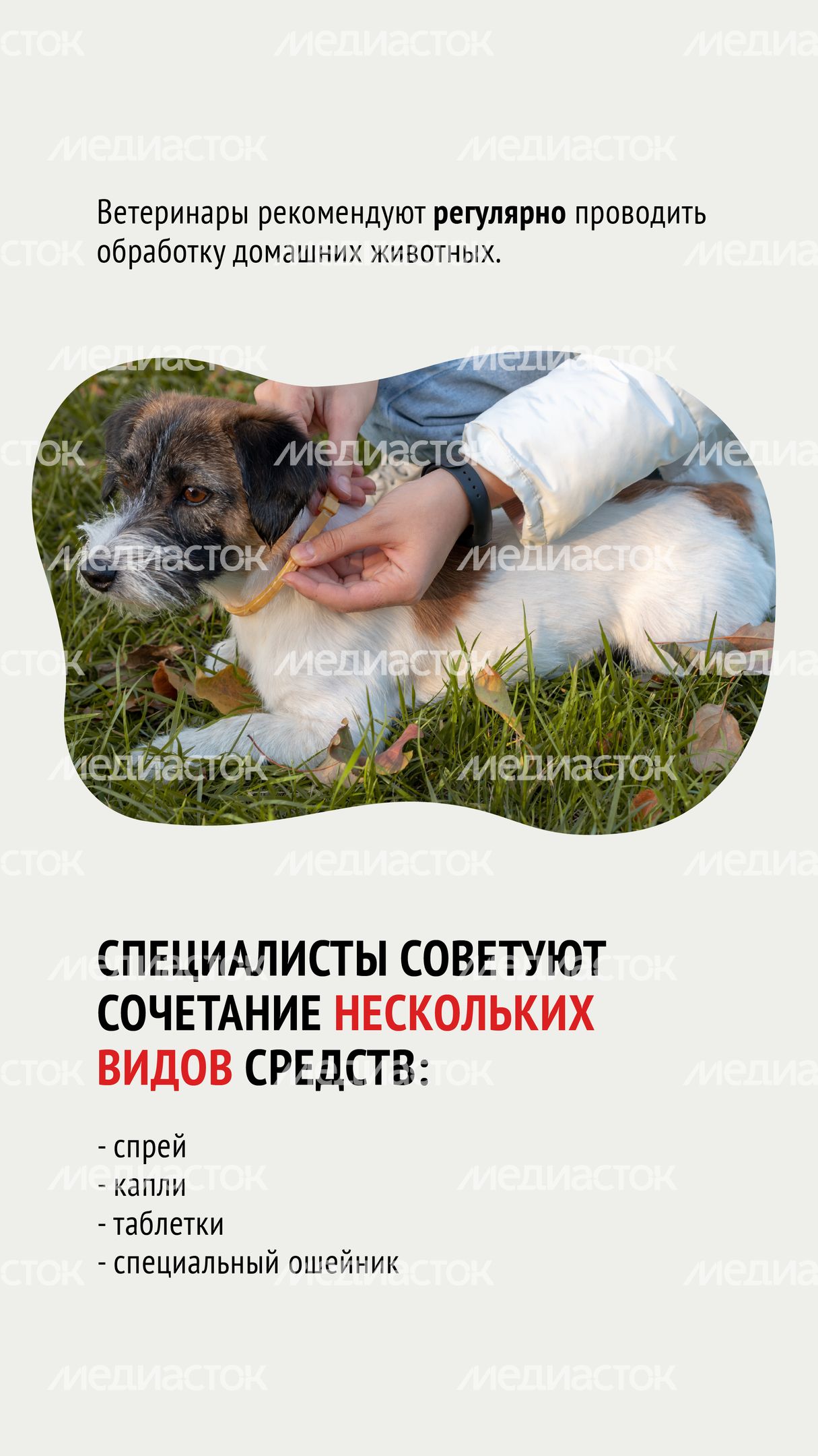 Клещи-02.jpg