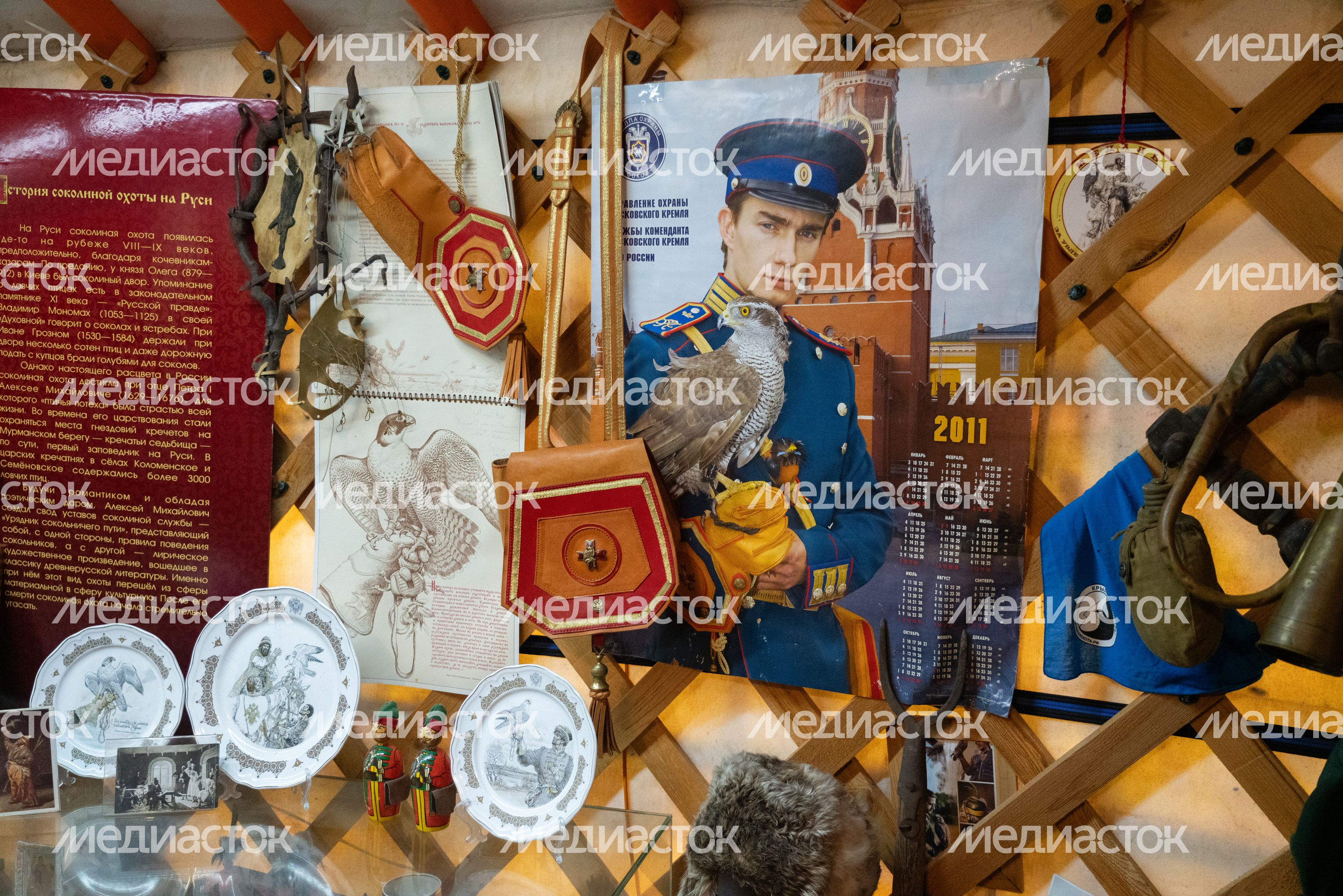 Центр соколиной охоты Константина Соколова в Мытищах