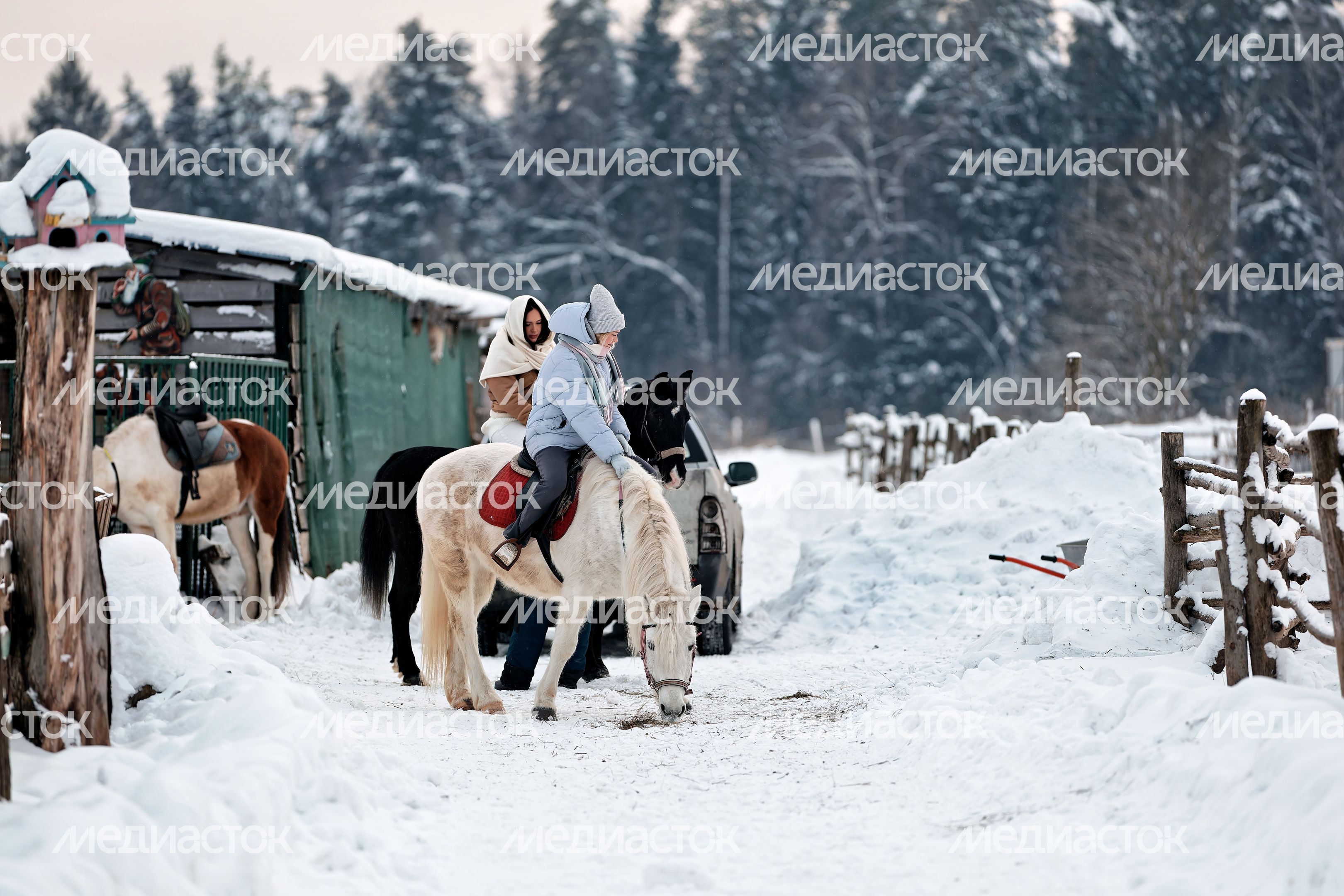 Прогулки на пони для детей на «Экзотик ферме» в поселке Назарьево Одинцовского округа Прогулки на пони для детей на «Экзотик ферме» в поселке Назарьево Одинцовского округа