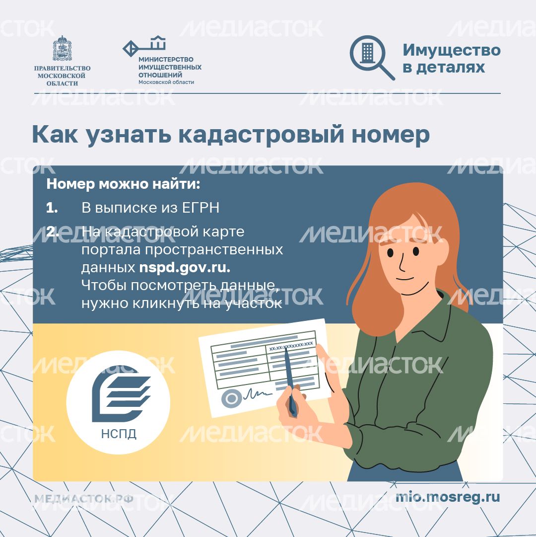 Что такое кадастровый номер участка квадрат 04 Что такое кадастровый номер участка квадрат 04