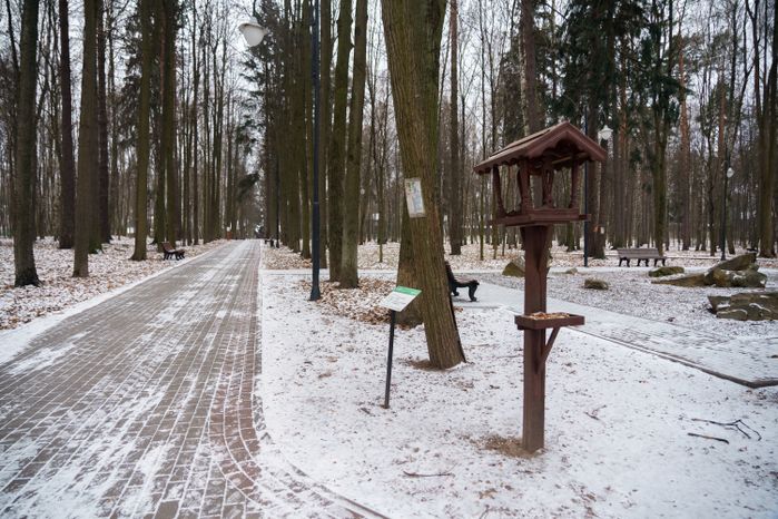 Люберцы. Томилинский лесопарк. Зима