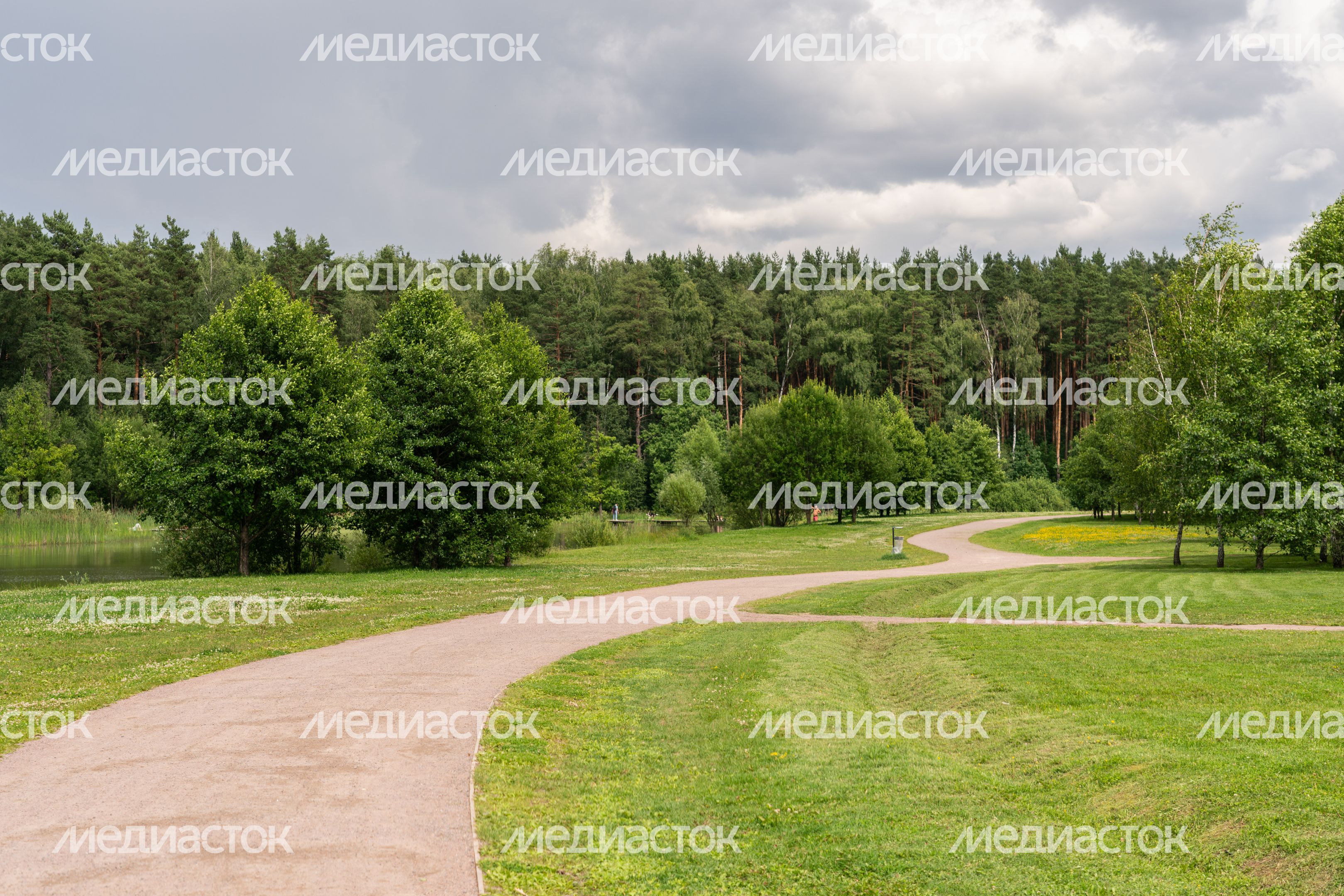 Мещерский парк летом