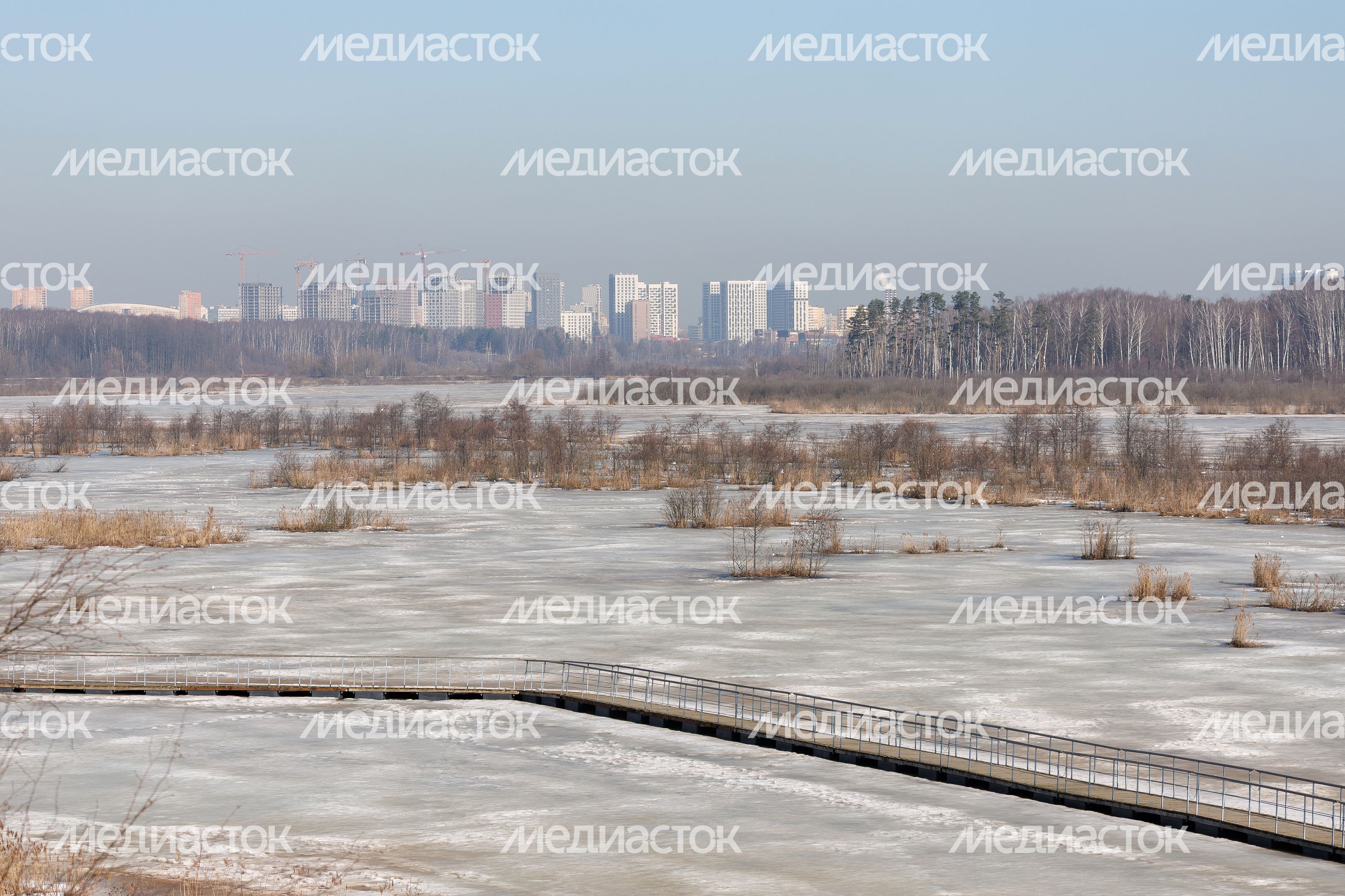 Весна в национальном парке «Лосиный остров» Лосино-Петровского округа