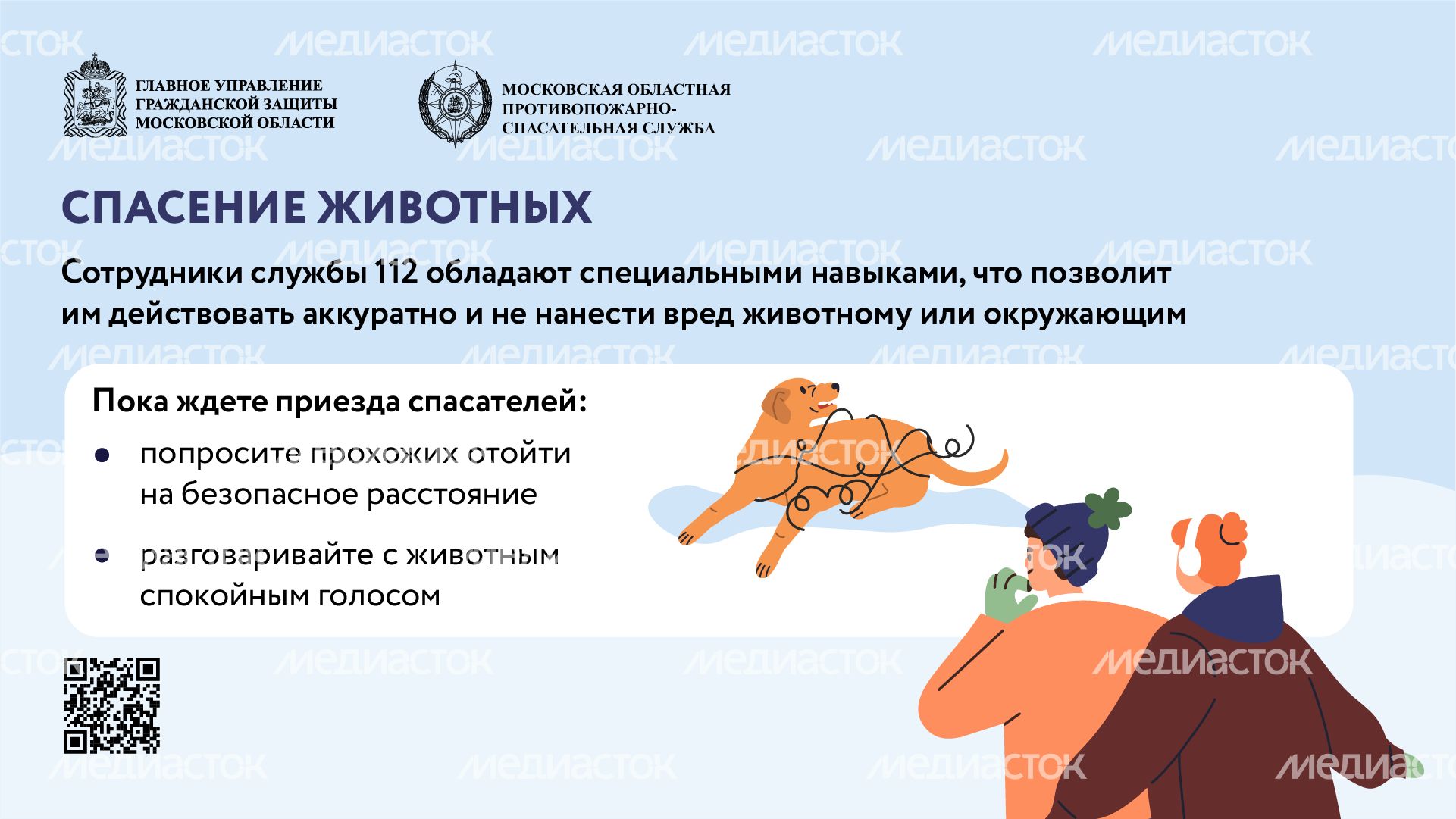помощь усатым - горизонталь - 02