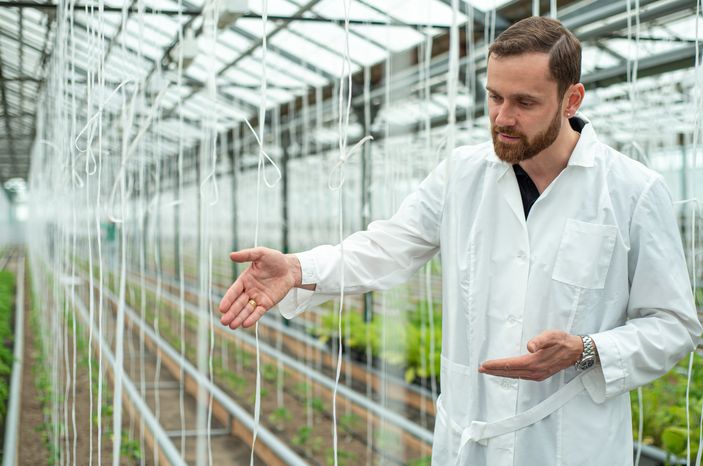 Теплицы крупного семеноводческого агропромышленного комплекса ООО «Агрофирма Партнер»