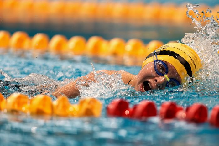 Первый турнир нового сезона Кубка чемпионов Swimcup по плаванию