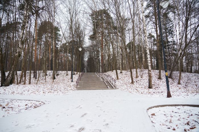 Люберцы. Томилинский лесопарк. Зима