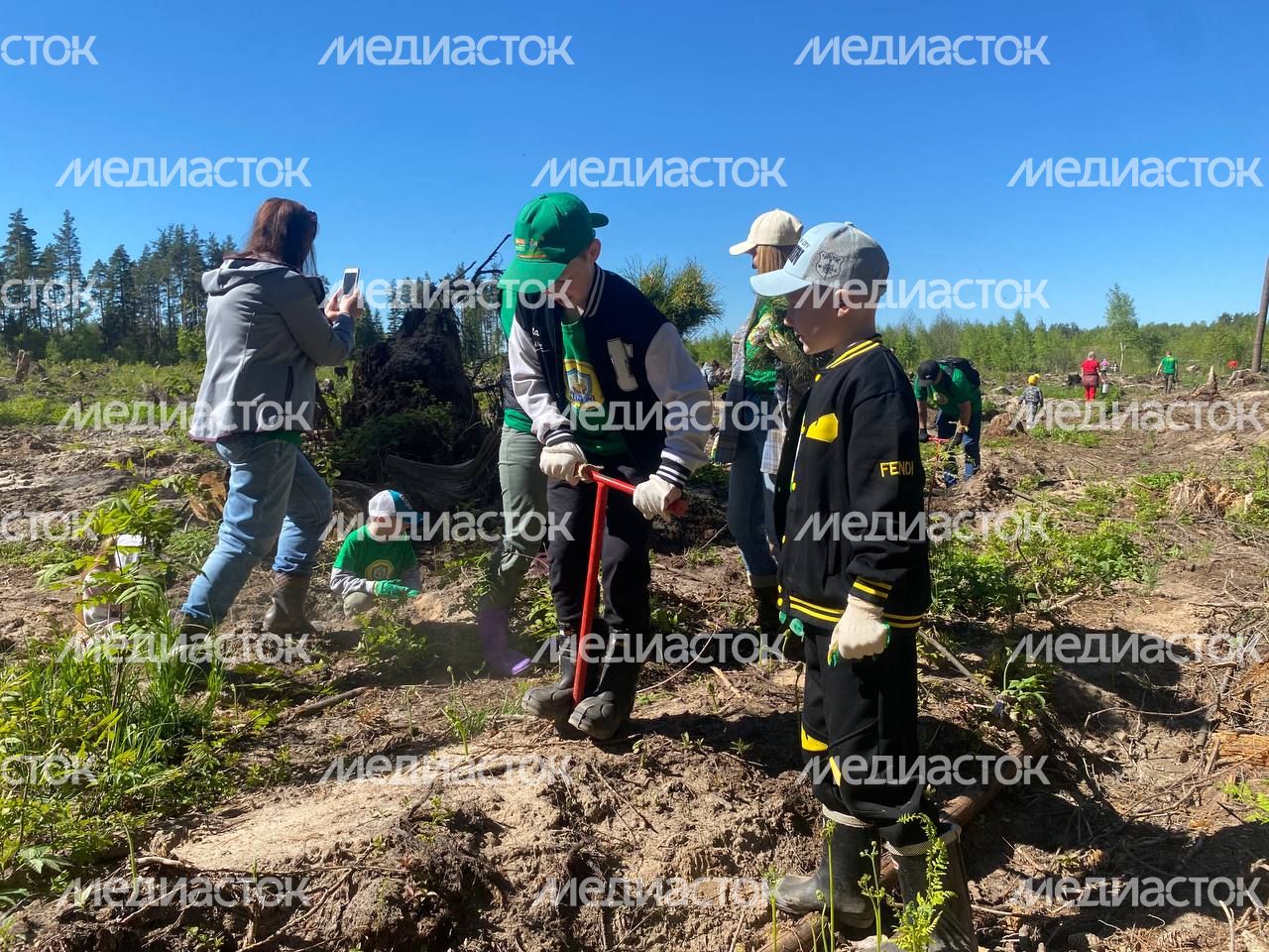 Настроение "Лес Будущего"-2024