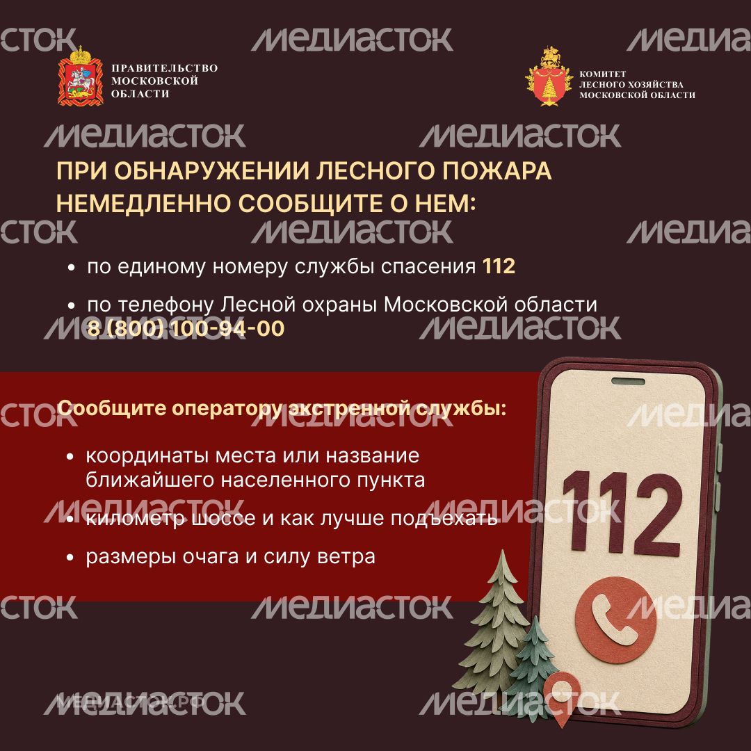 Живете рядом с лесом квадрат 08