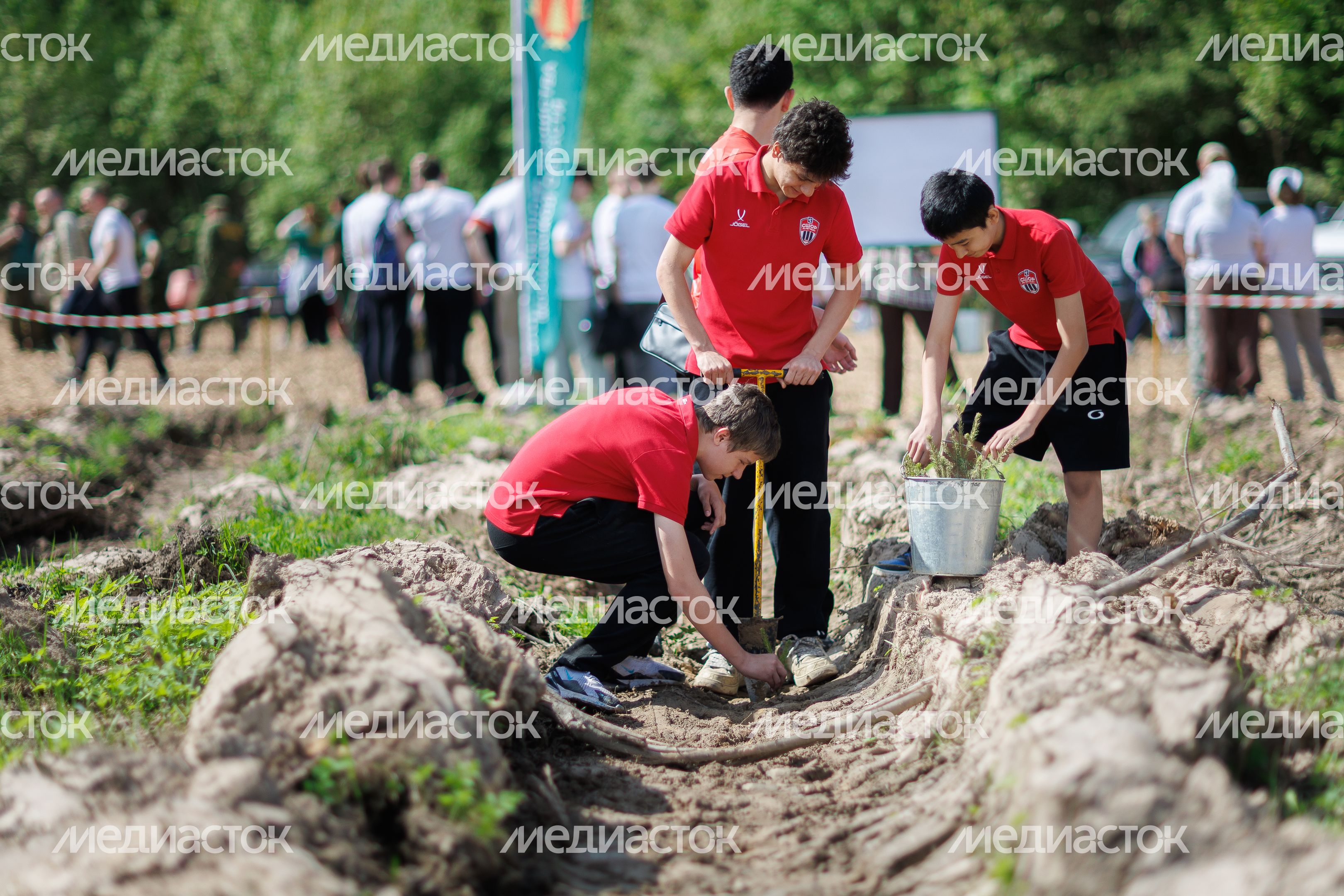 Сад Памяти в Подмосковье-2026: акция по посадке деревьев в Химках Сад Памяти в Подмосковье-2026: акция по посадке деревьев в Химках