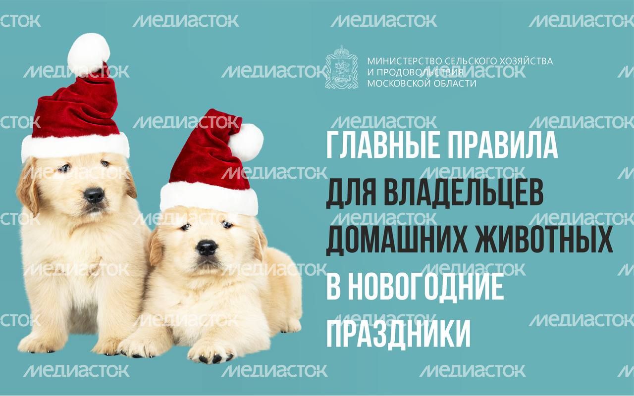 IMAGE 2023-12-29 20:17:50